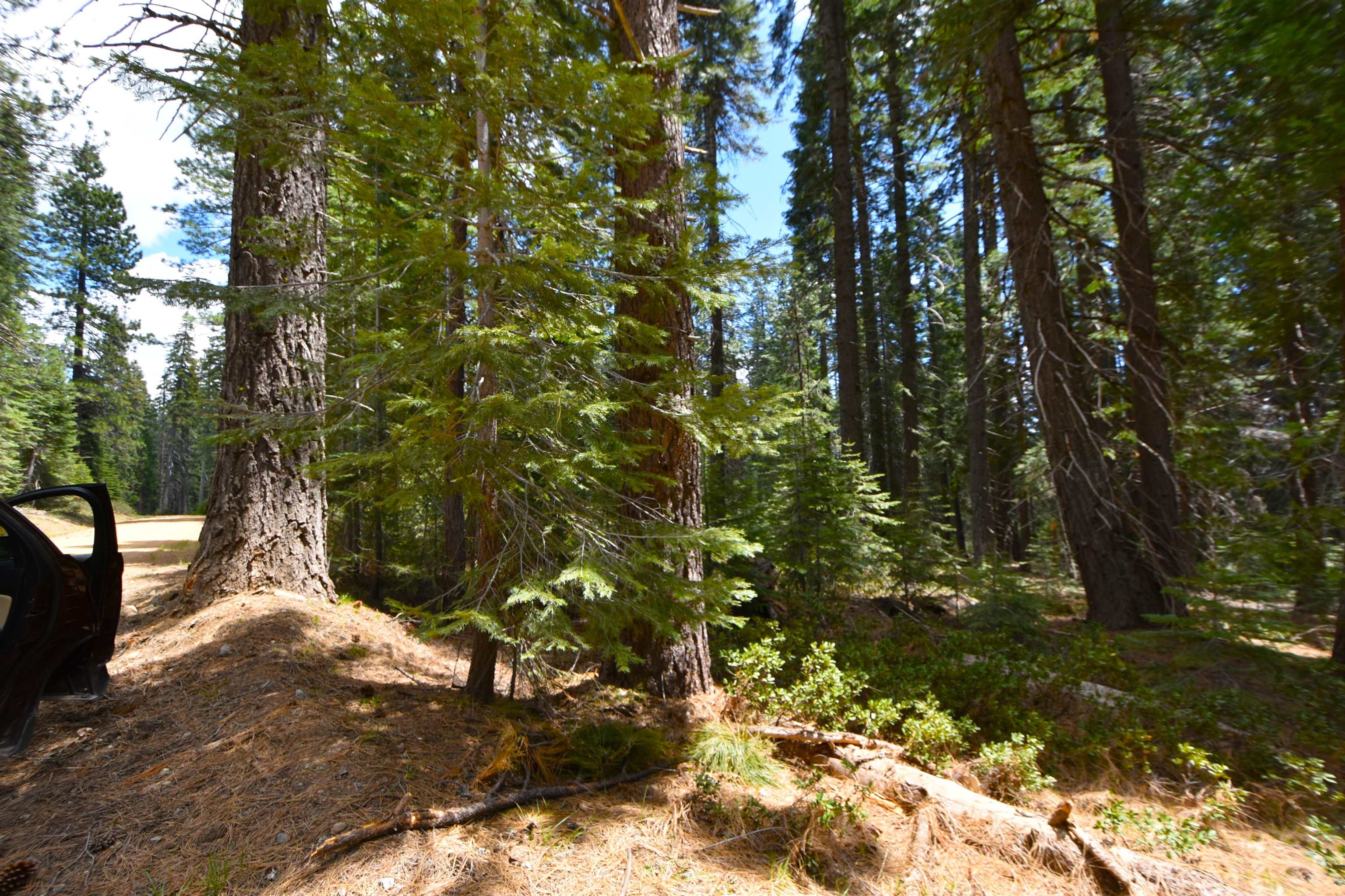 Lot 5 Twisted Pine Dr.