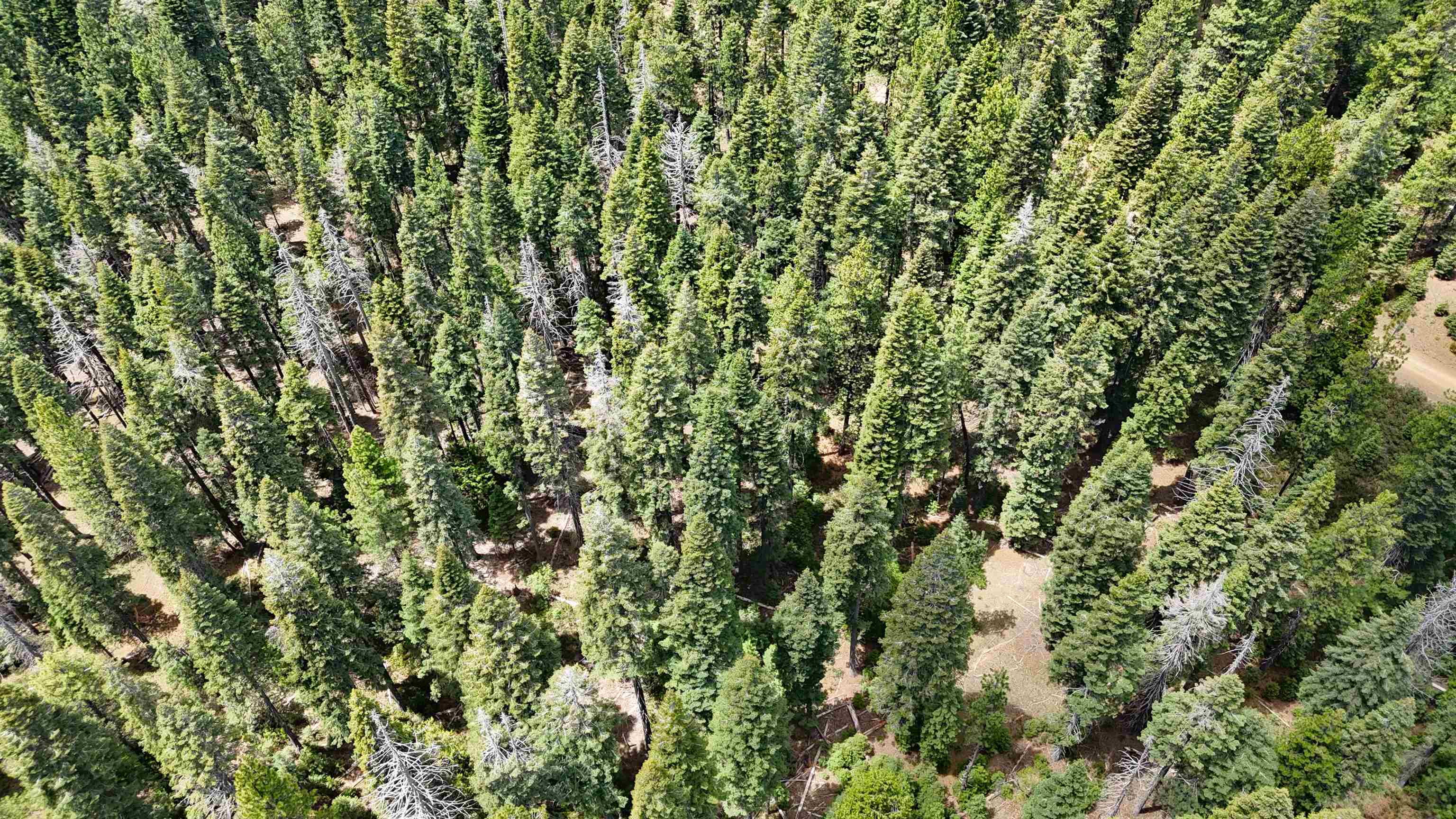 Lot 5 Twisted Pine Dr.