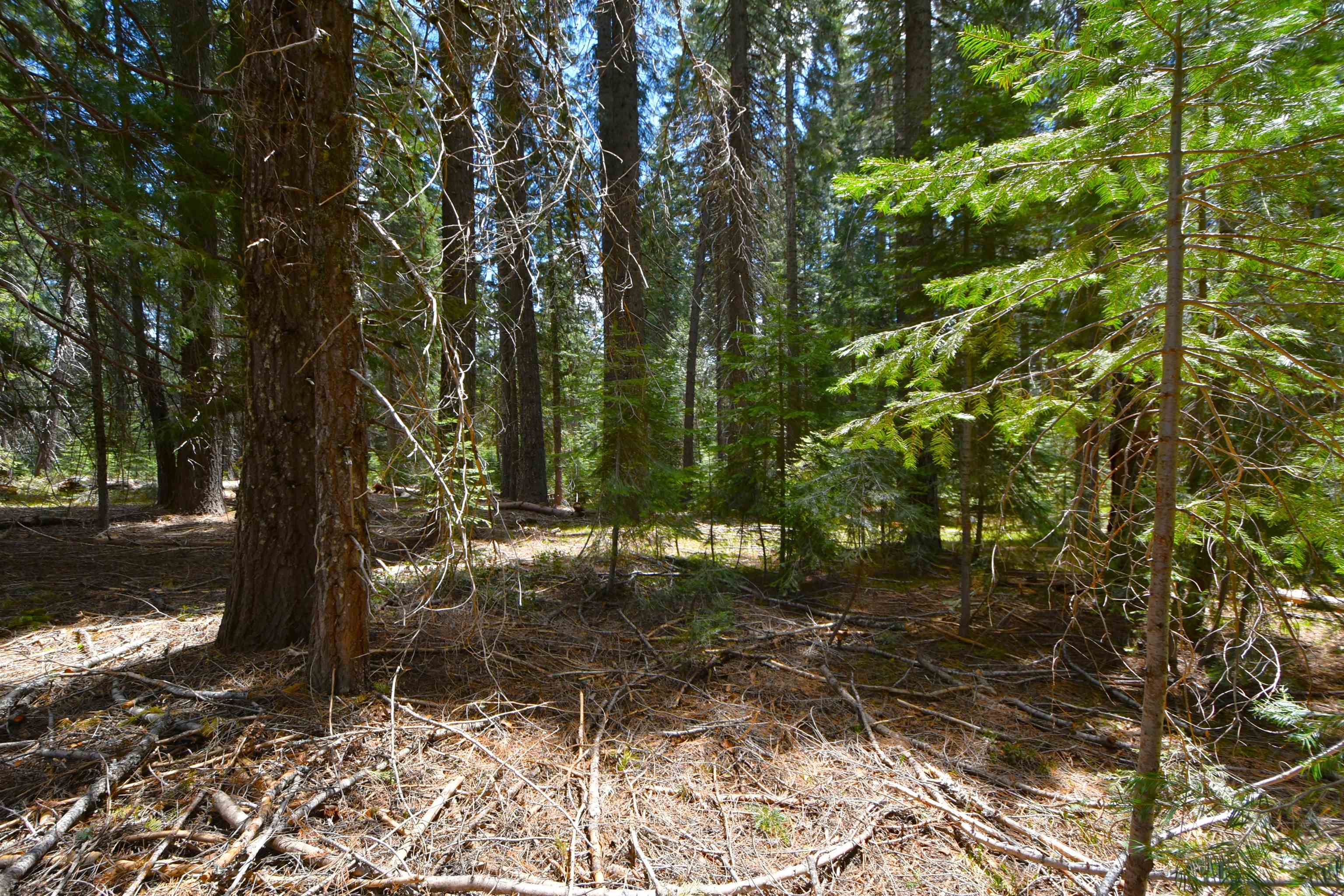 Lot 5 Twisted Pine Dr.