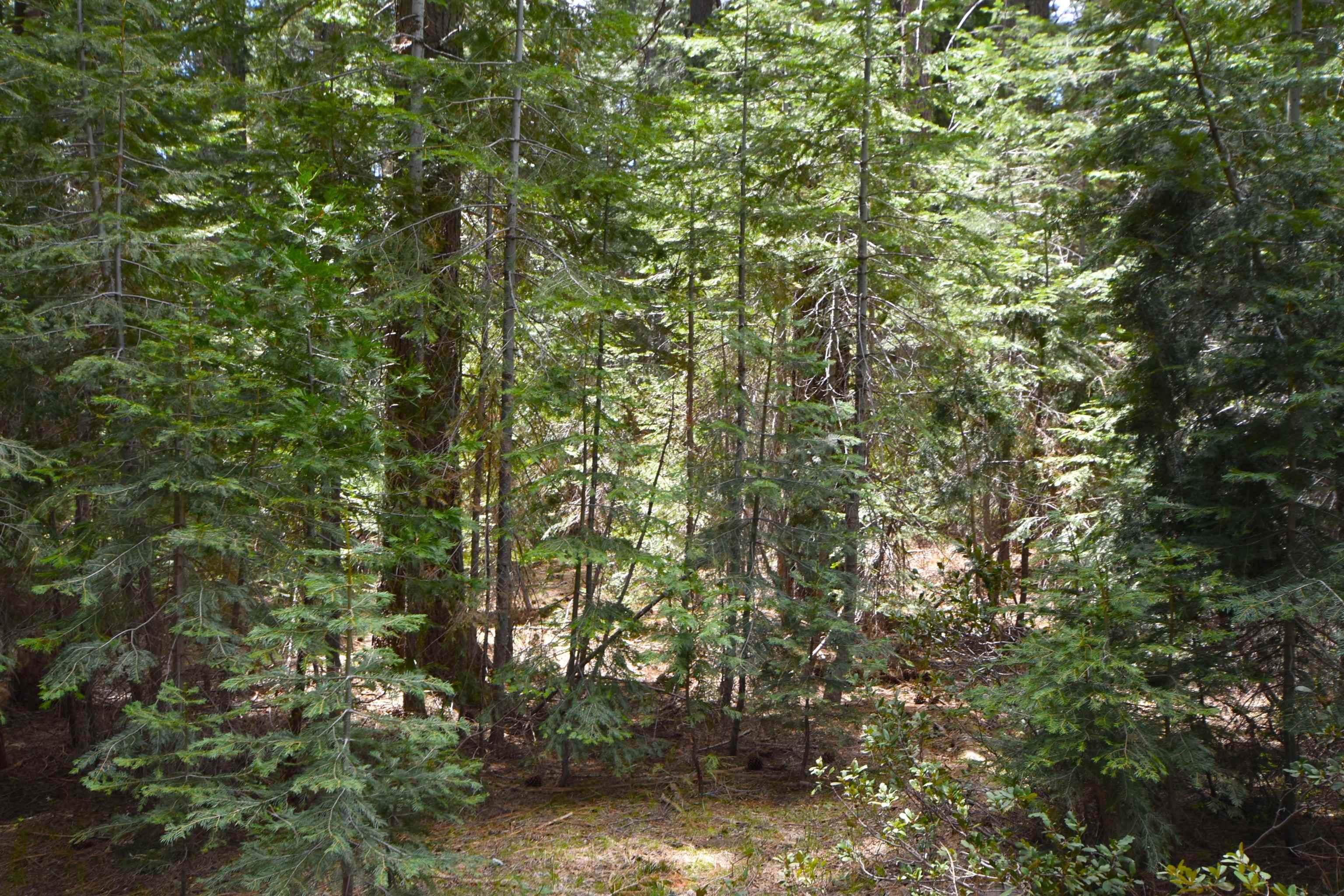 Lot 5 Twisted Pine Dr.