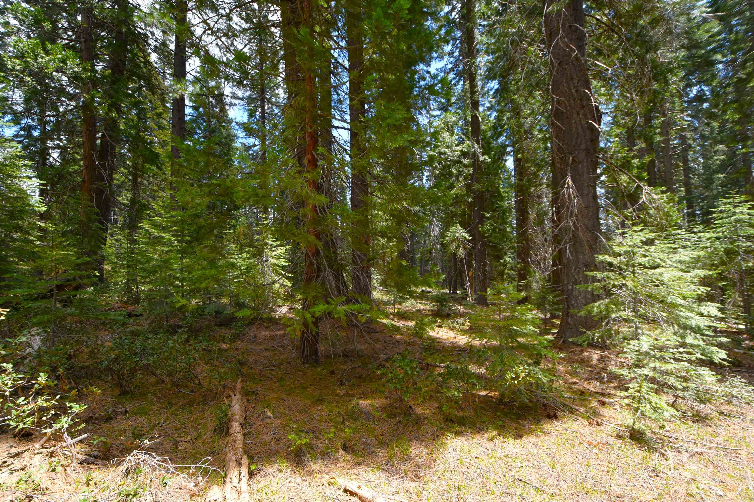 Lot 5 Twisted Pine Dr.