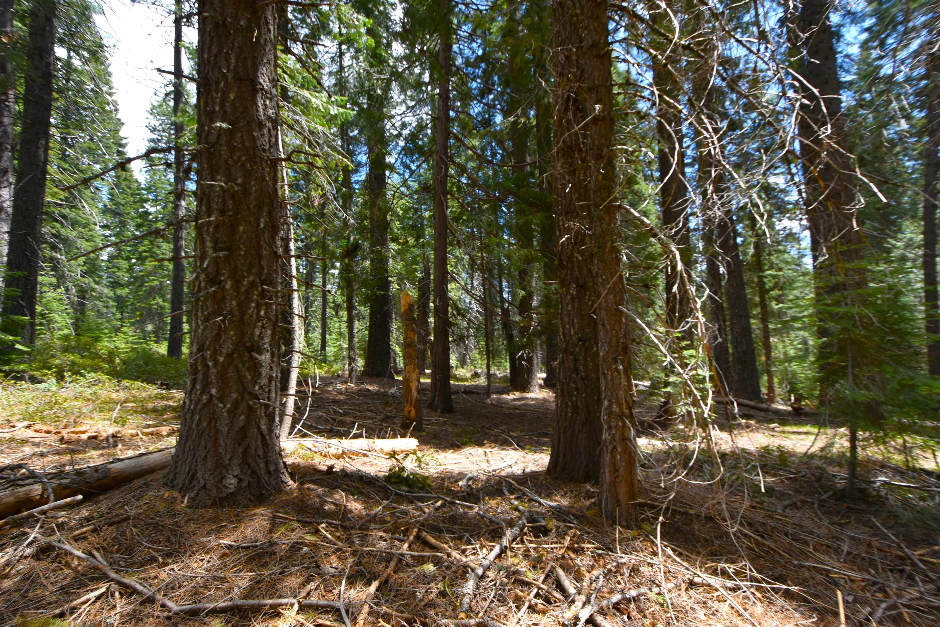 Lot 5 Twisted Pine Dr.