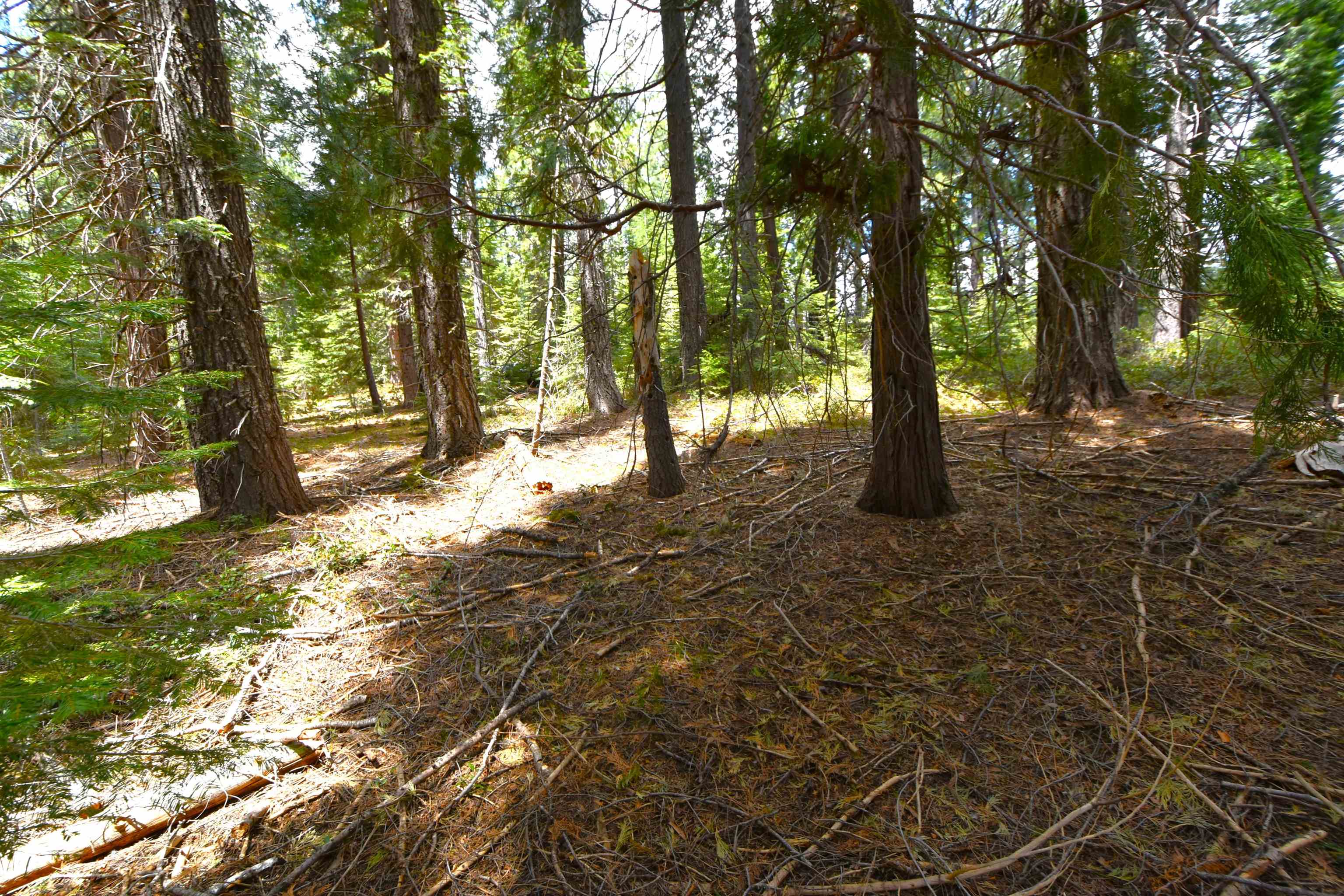 Lot 5 Twisted Pine Dr.