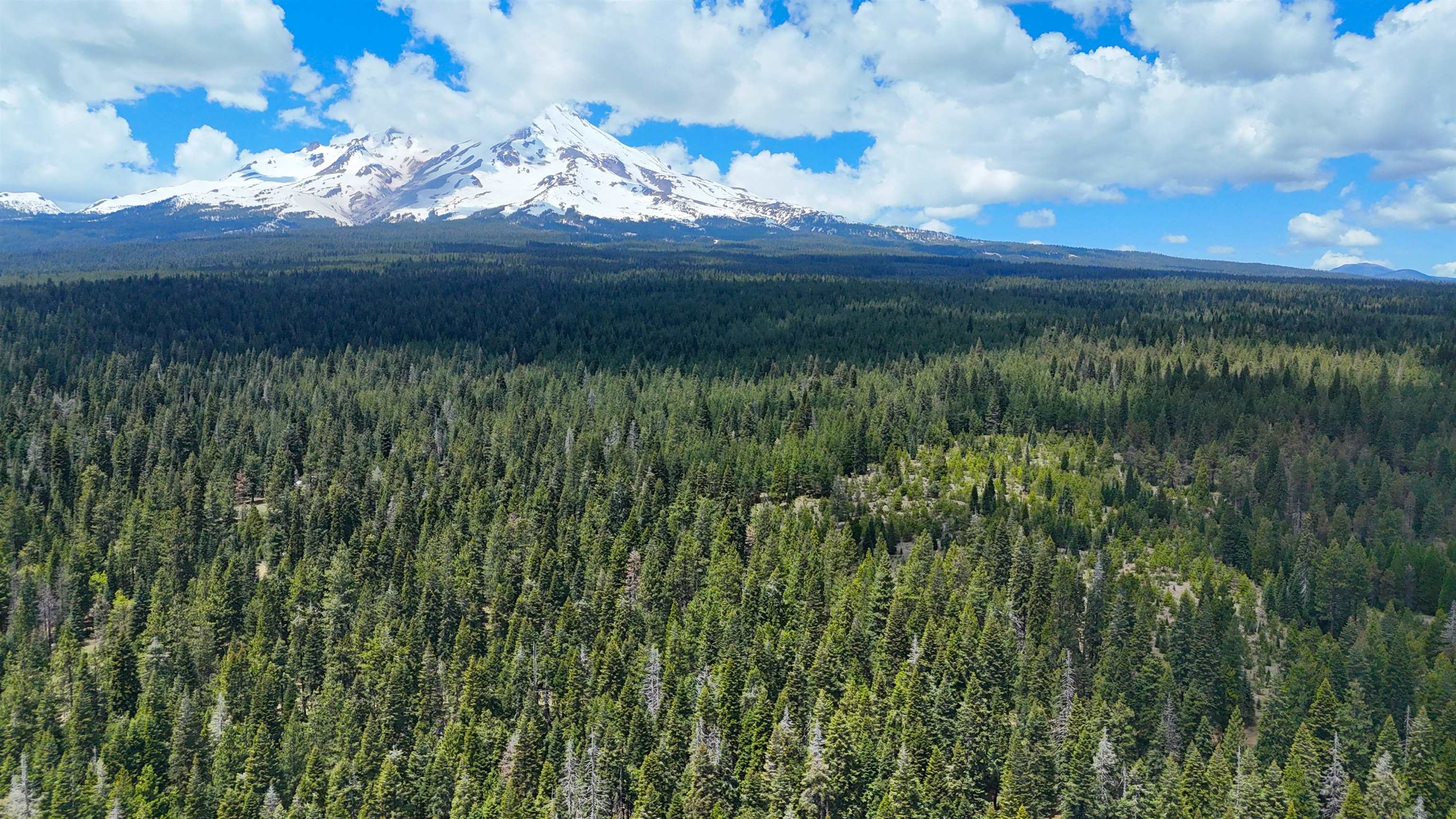 Lot 5 Twisted Pine Dr.