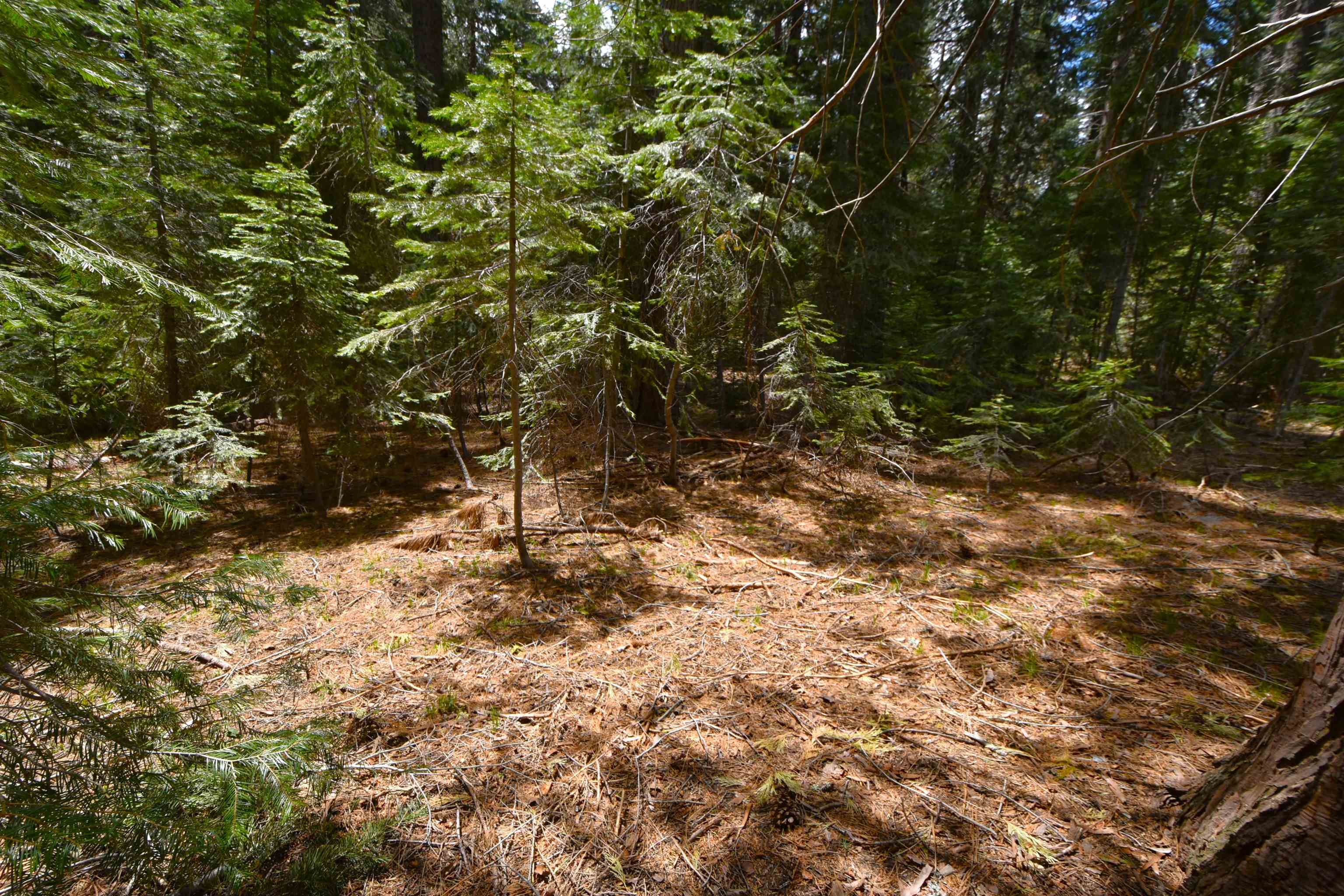 Lot 5 Twisted Pine Dr.