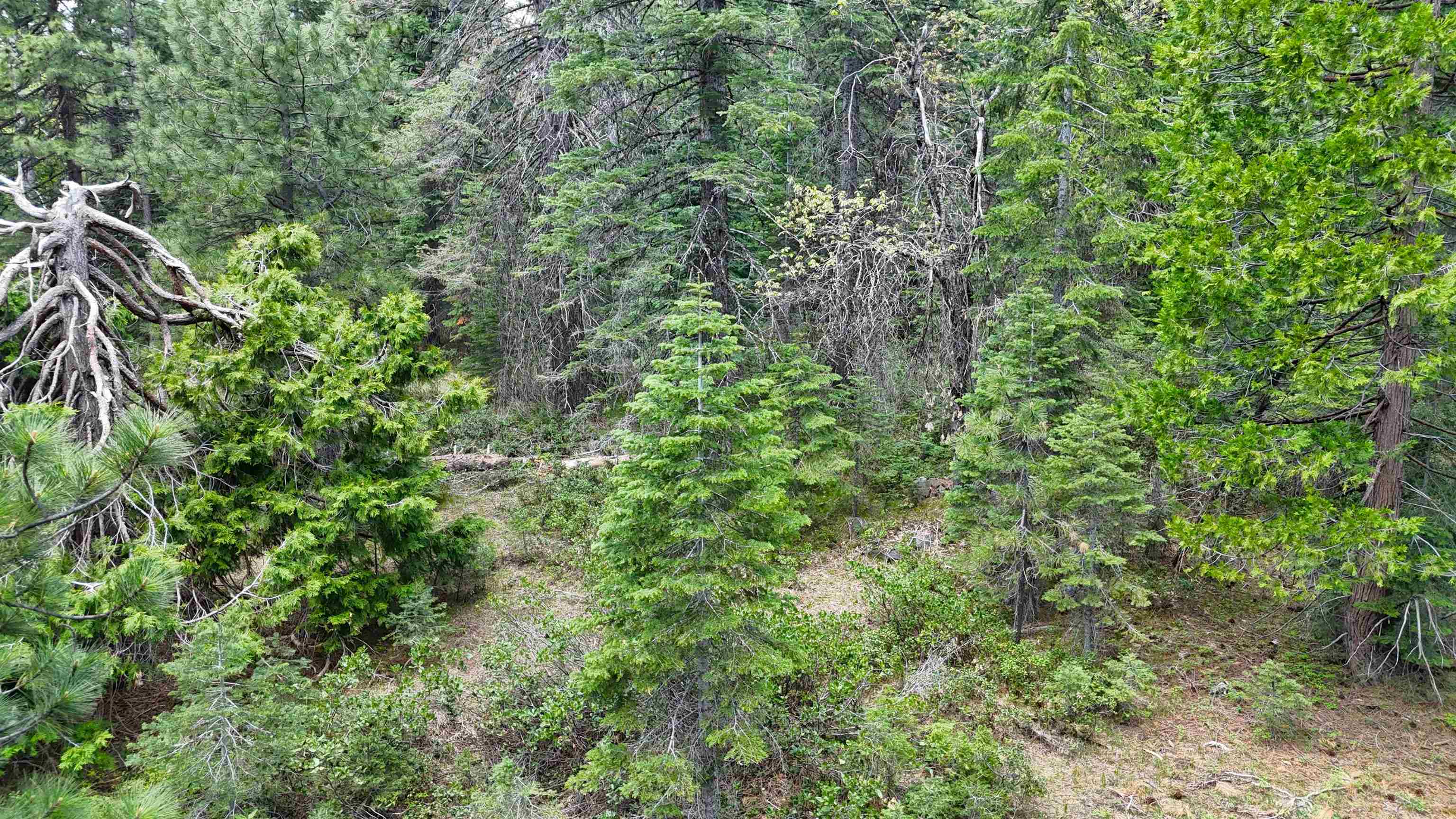 Lot 5 Twisted Pine Dr.