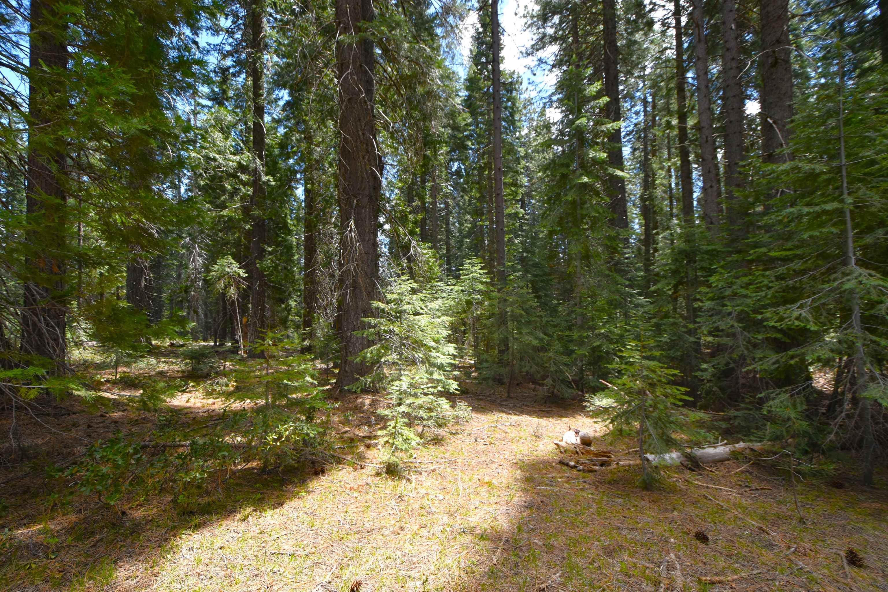 Lot 5 Twisted Pine Dr.