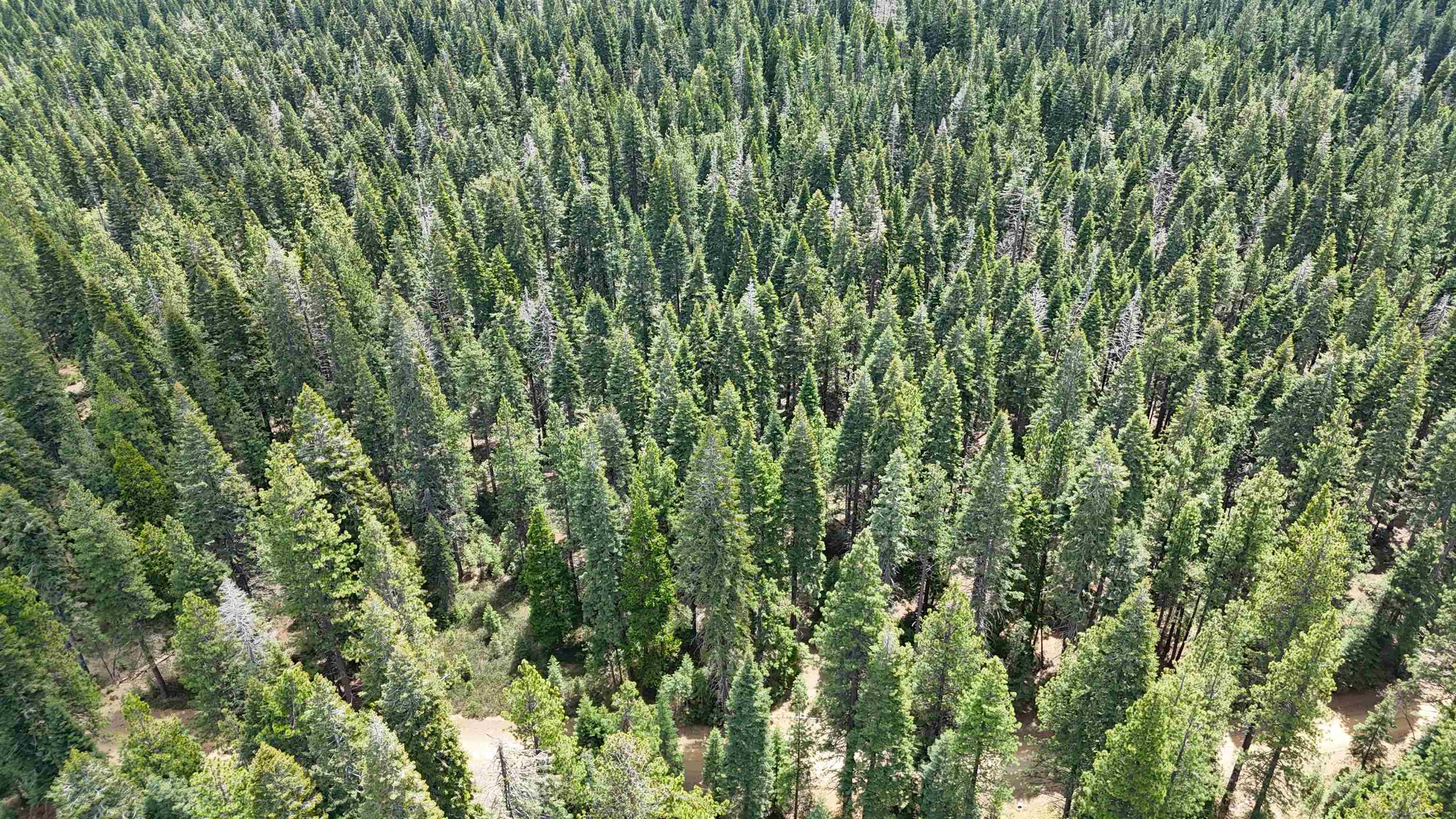 Lot 5 Twisted Pine Dr.