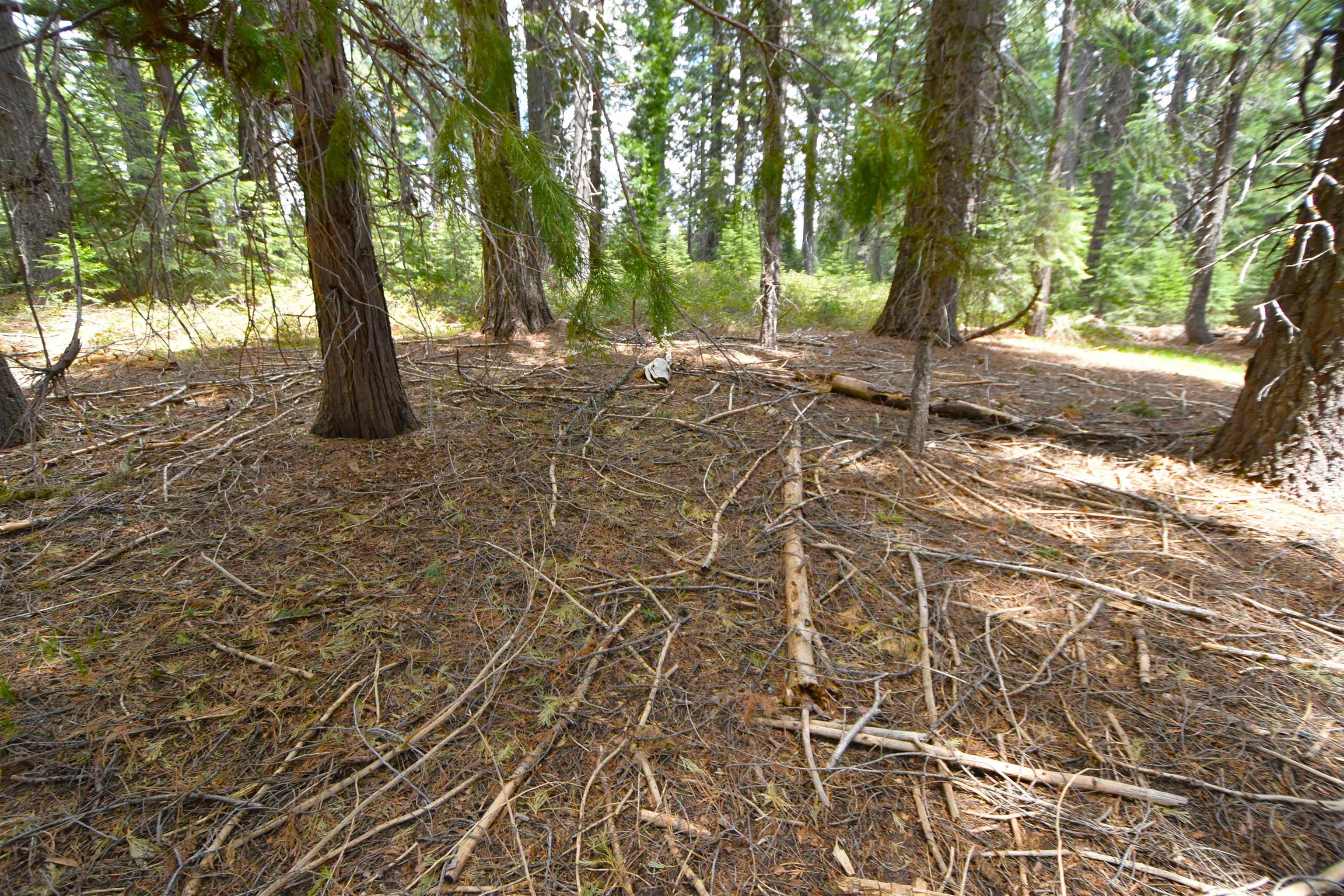 Lot 5 Twisted Pine Dr.