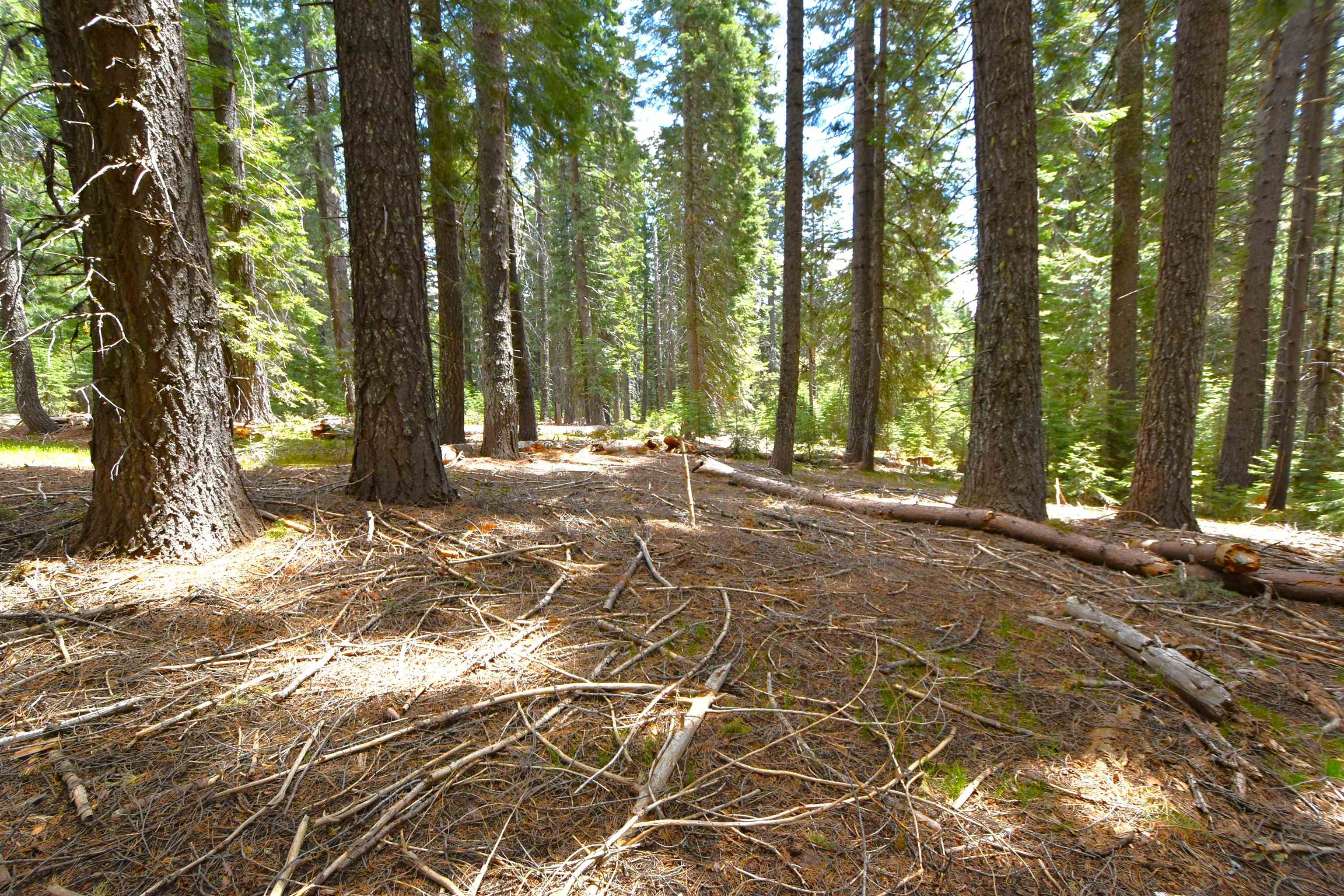 Lot 5 Twisted Pine Dr.