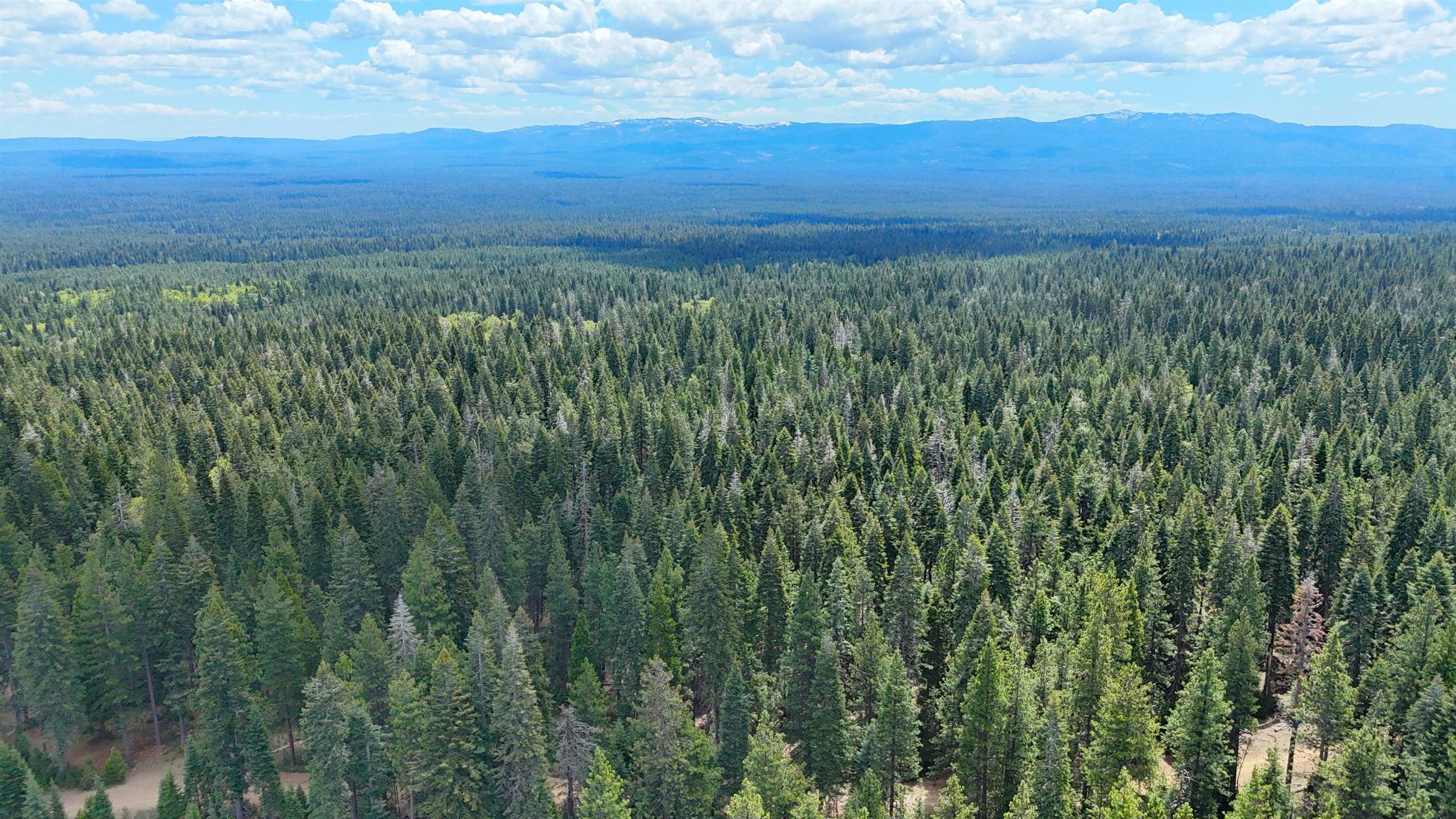 Lot 5 Twisted Pine Dr.