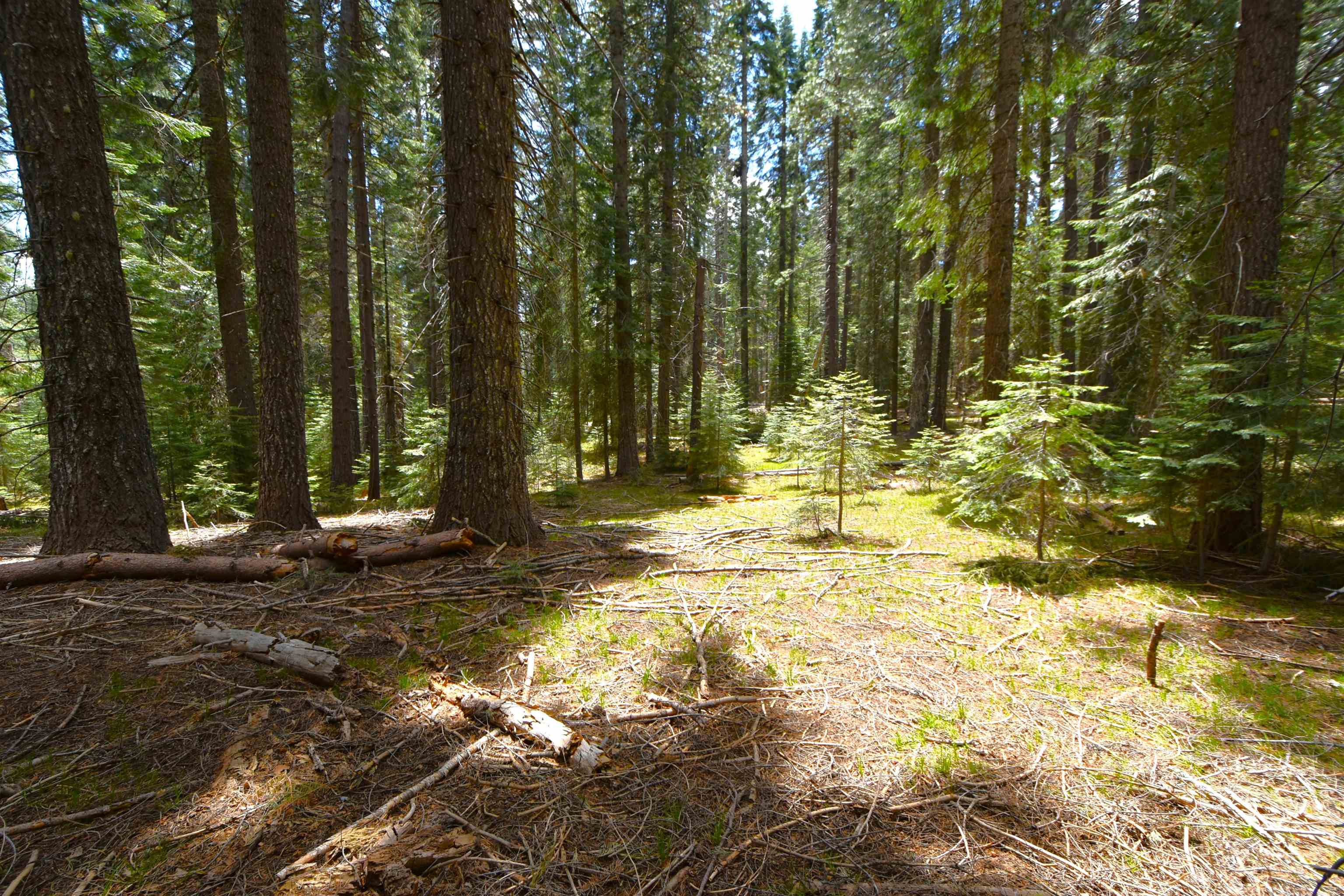 Lot 5 Twisted Pine Dr.