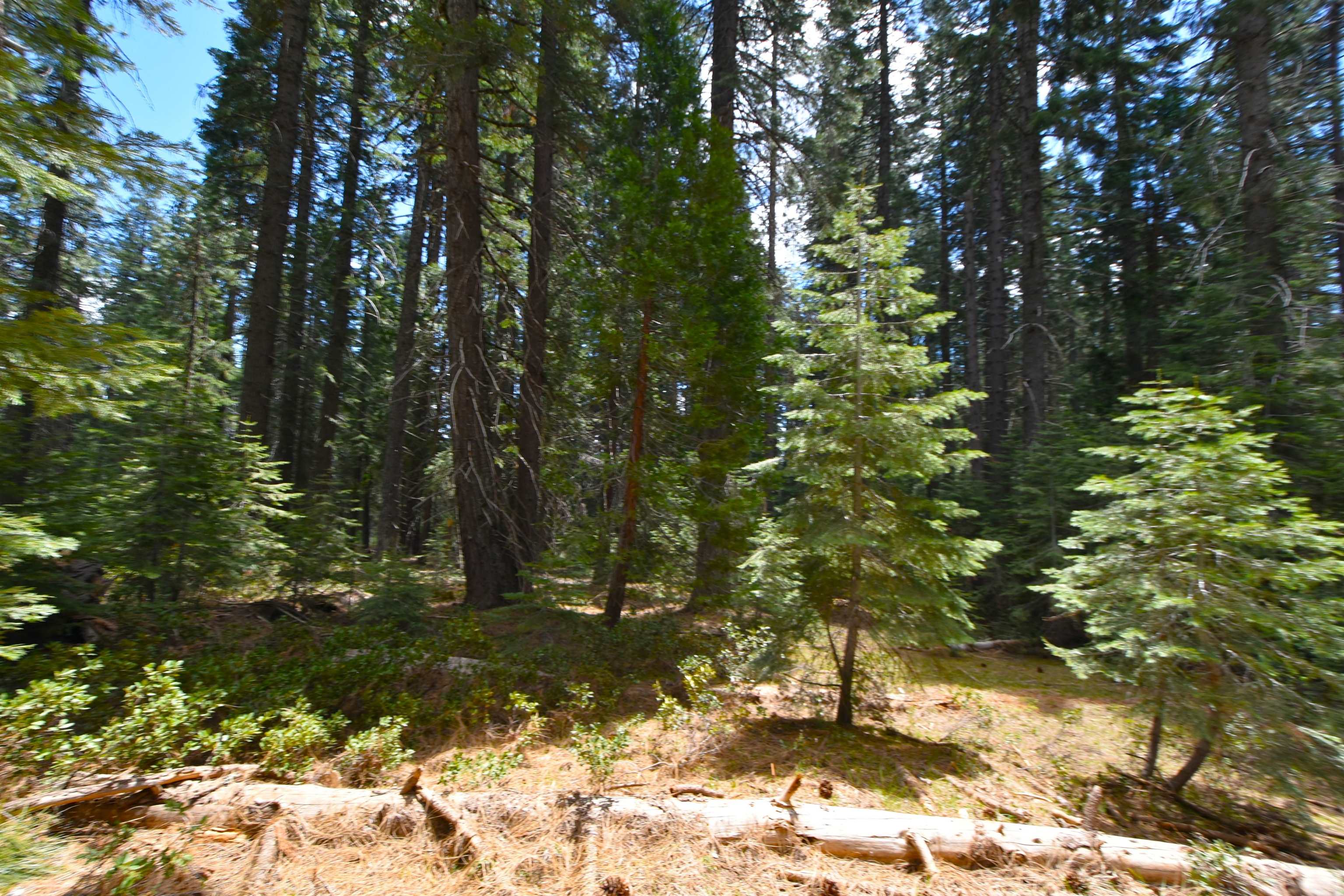 Lot 5 Twisted Pine Dr.