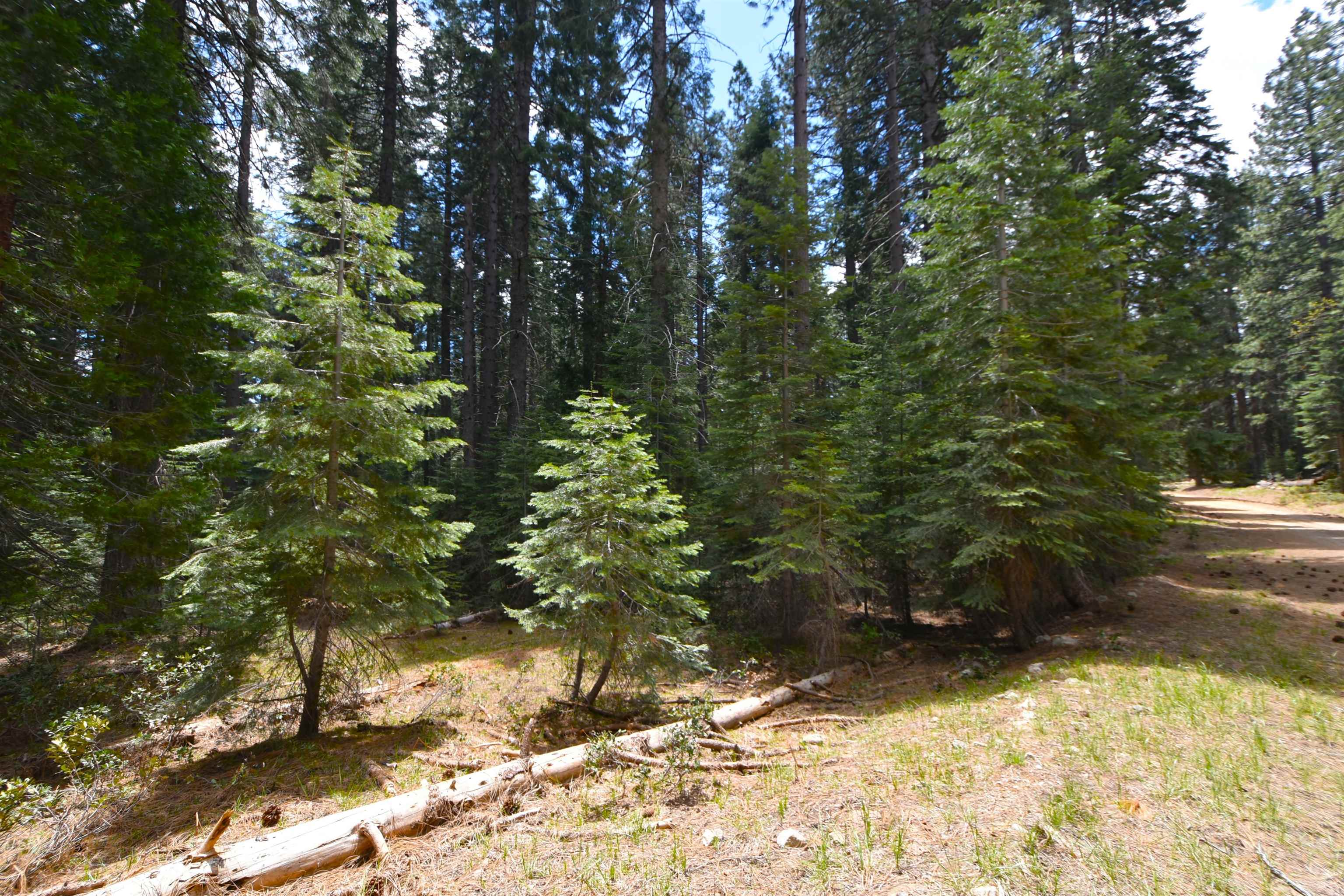 Lot 5 Twisted Pine Dr.