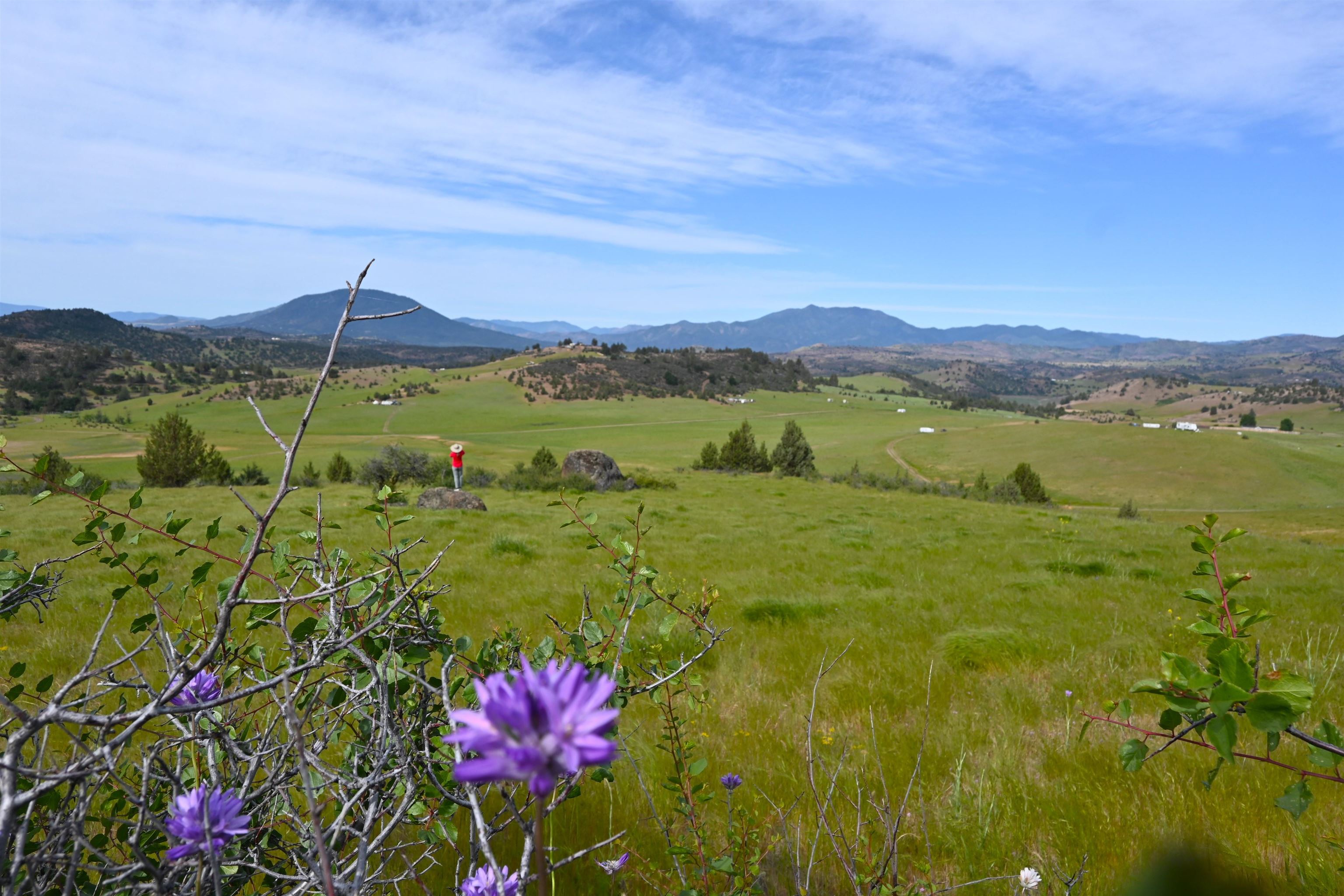 unit 3 Lot 181 Lakeview Rd