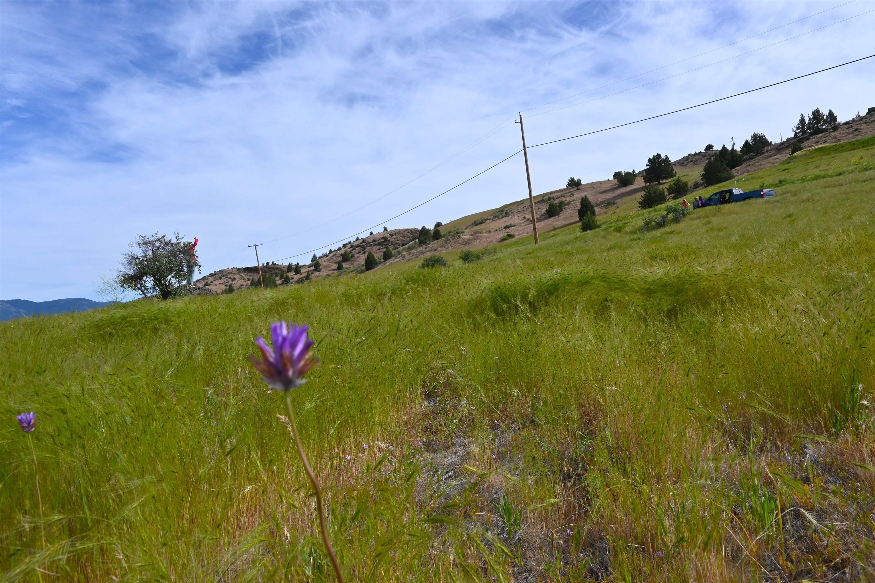 unit 3 Lot 181 Lakeview Rd