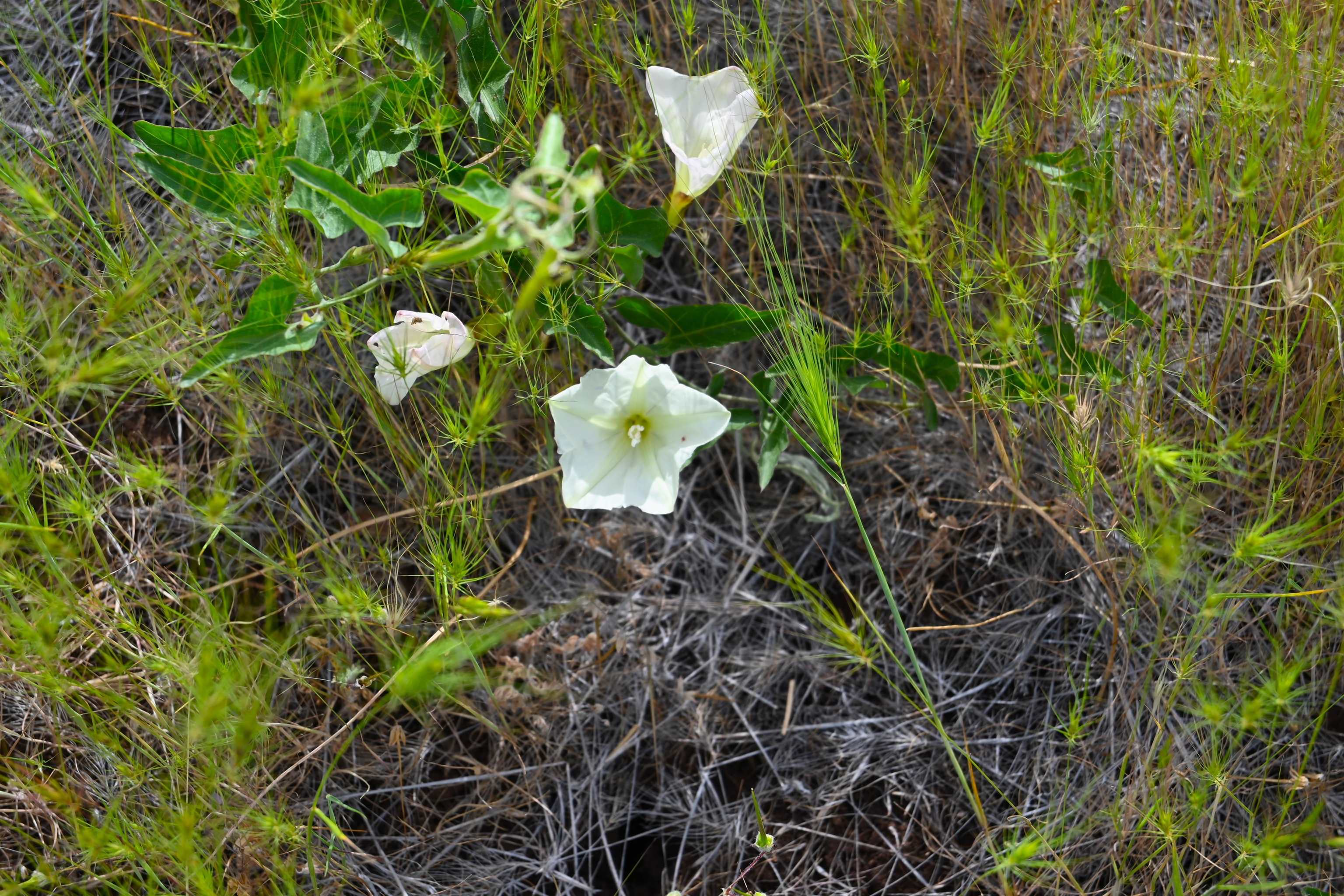 unit 3 Lot 181 Lakeview Rd