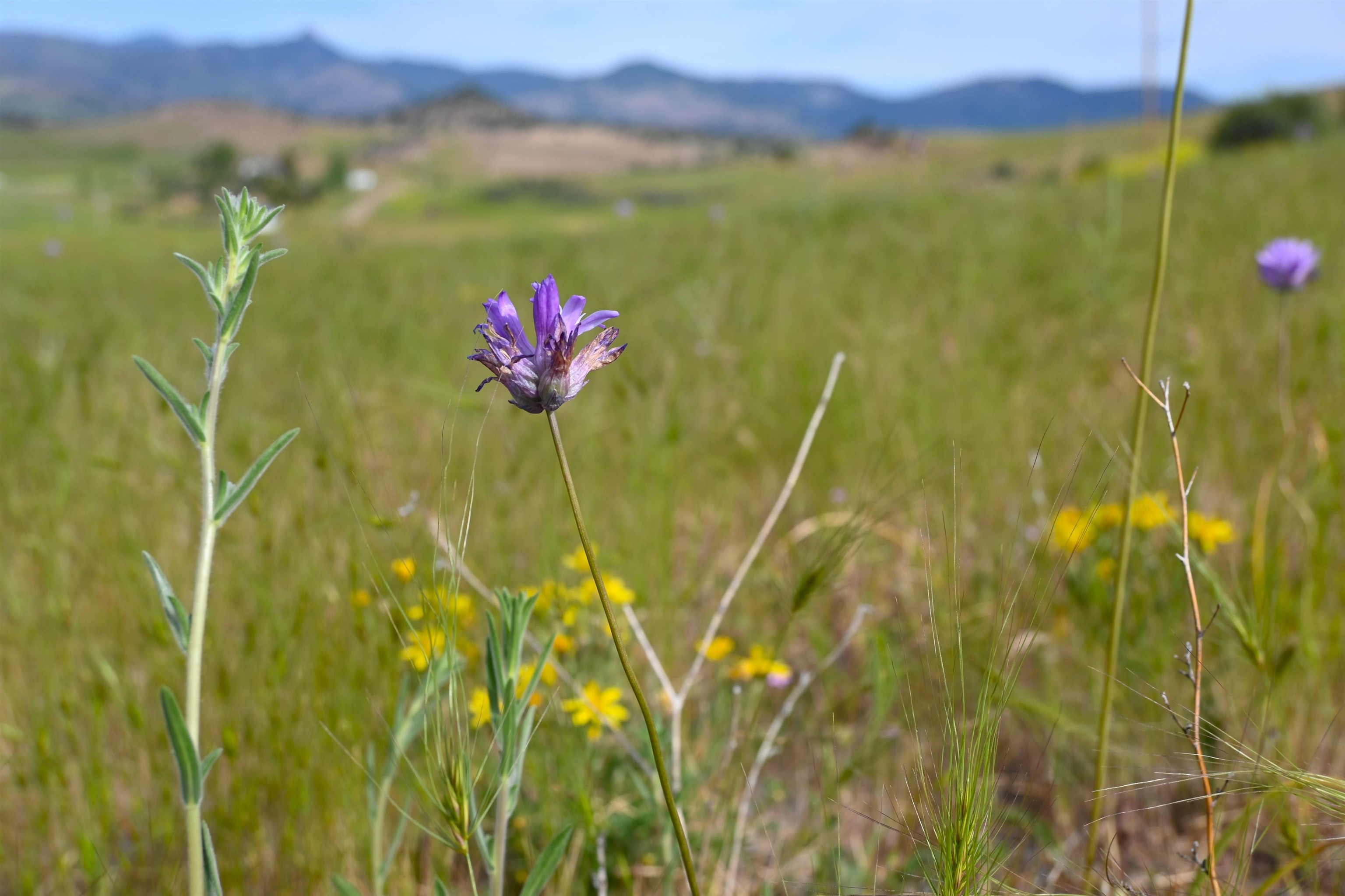 unit 3 Lot 181 Lakeview Rd