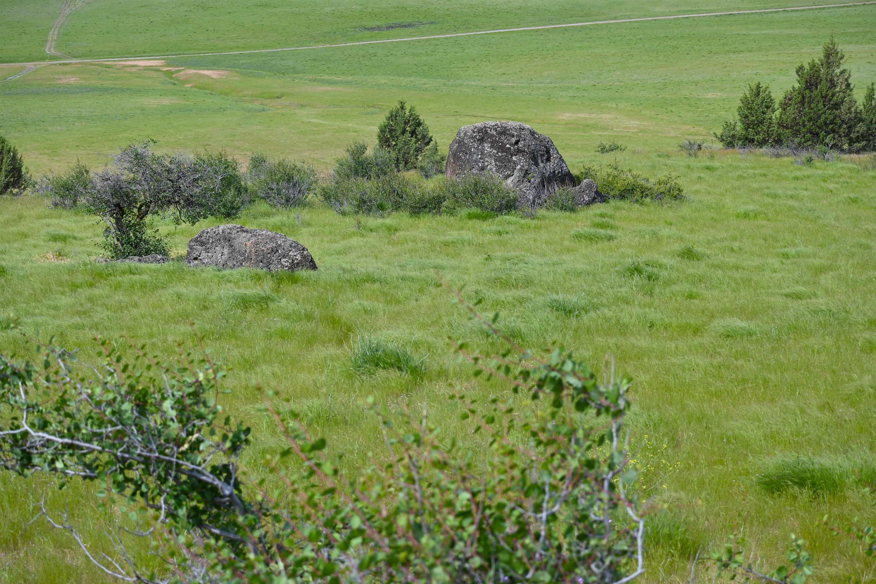 unit 3 Lot 181 Lakeview Rd