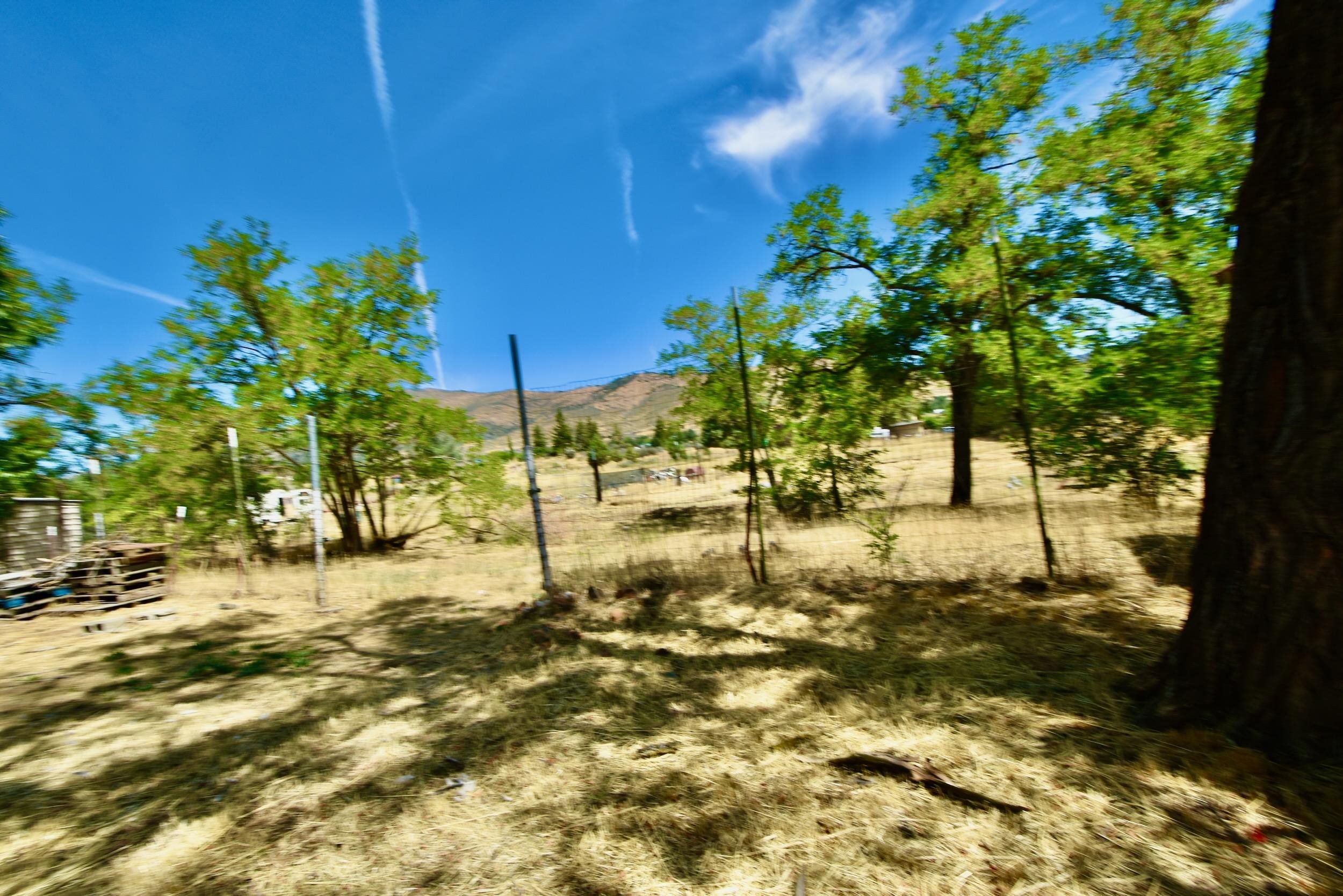 1439 Hawkinsville Humbug Rd