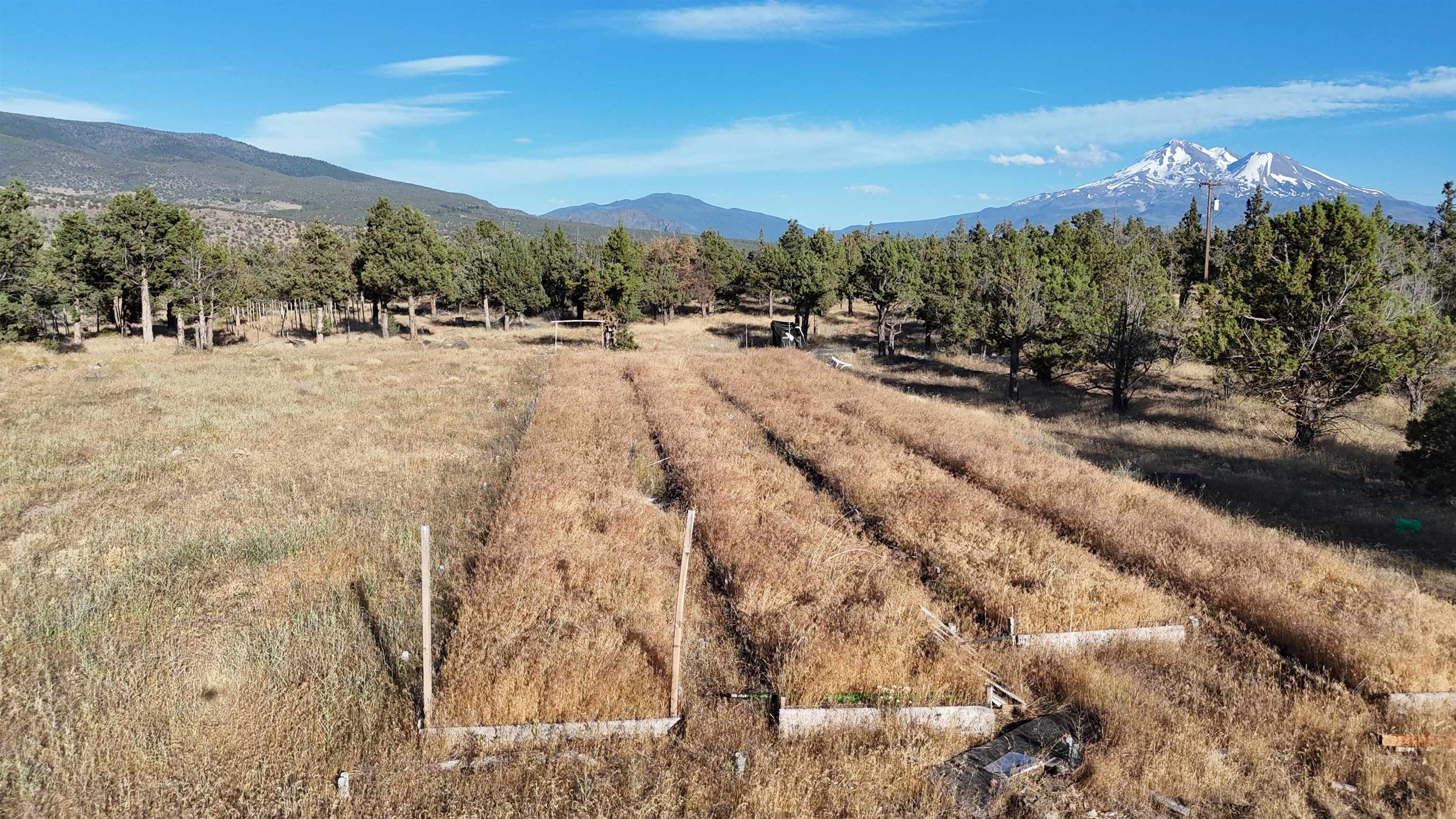 5200 Blackberry Lane