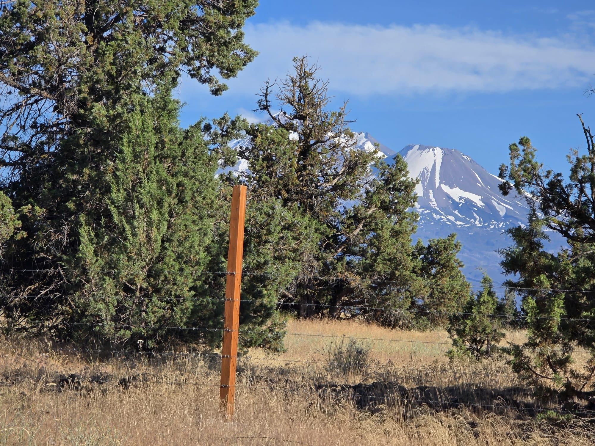 5200 Blackberry Lane