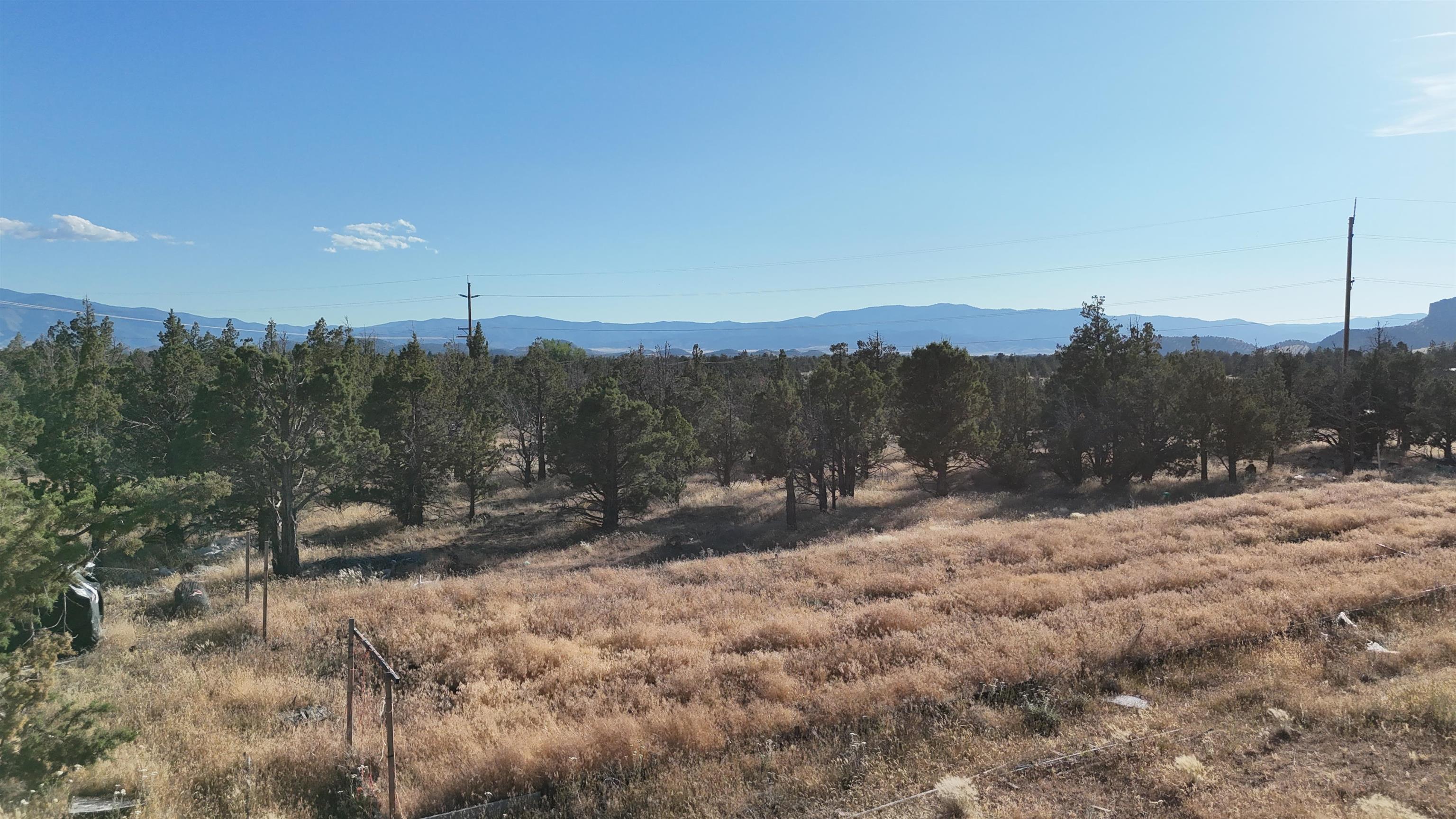 5200 Blackberry Lane