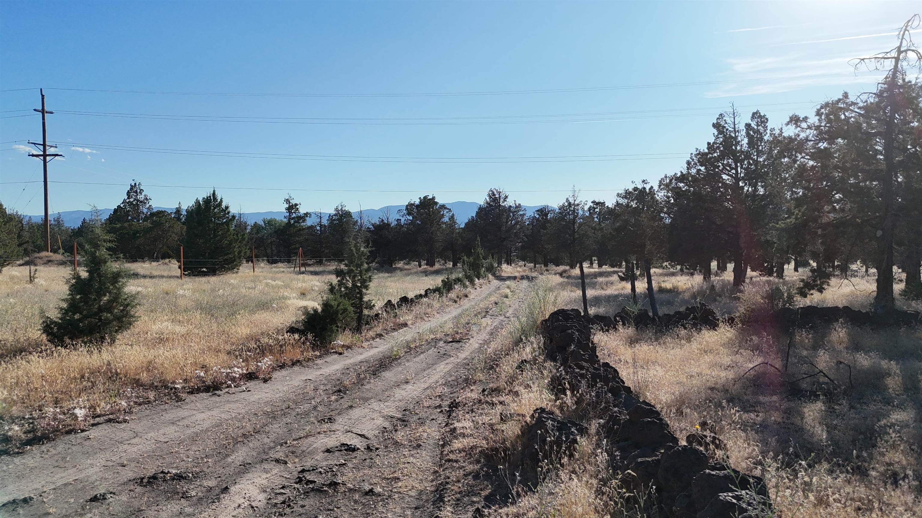 5200 Blackberry Lane