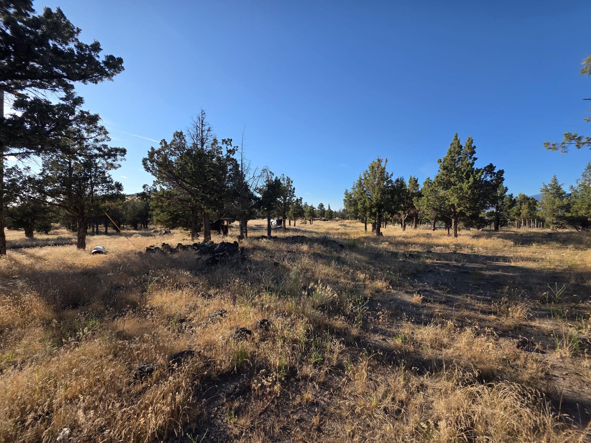 5200 Blackberry Lane