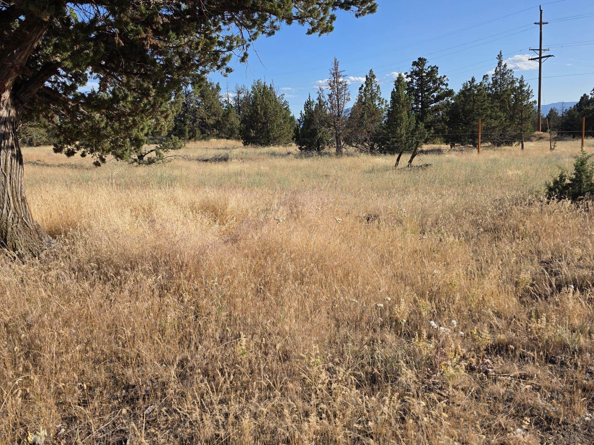 5200 Blackberry Lane