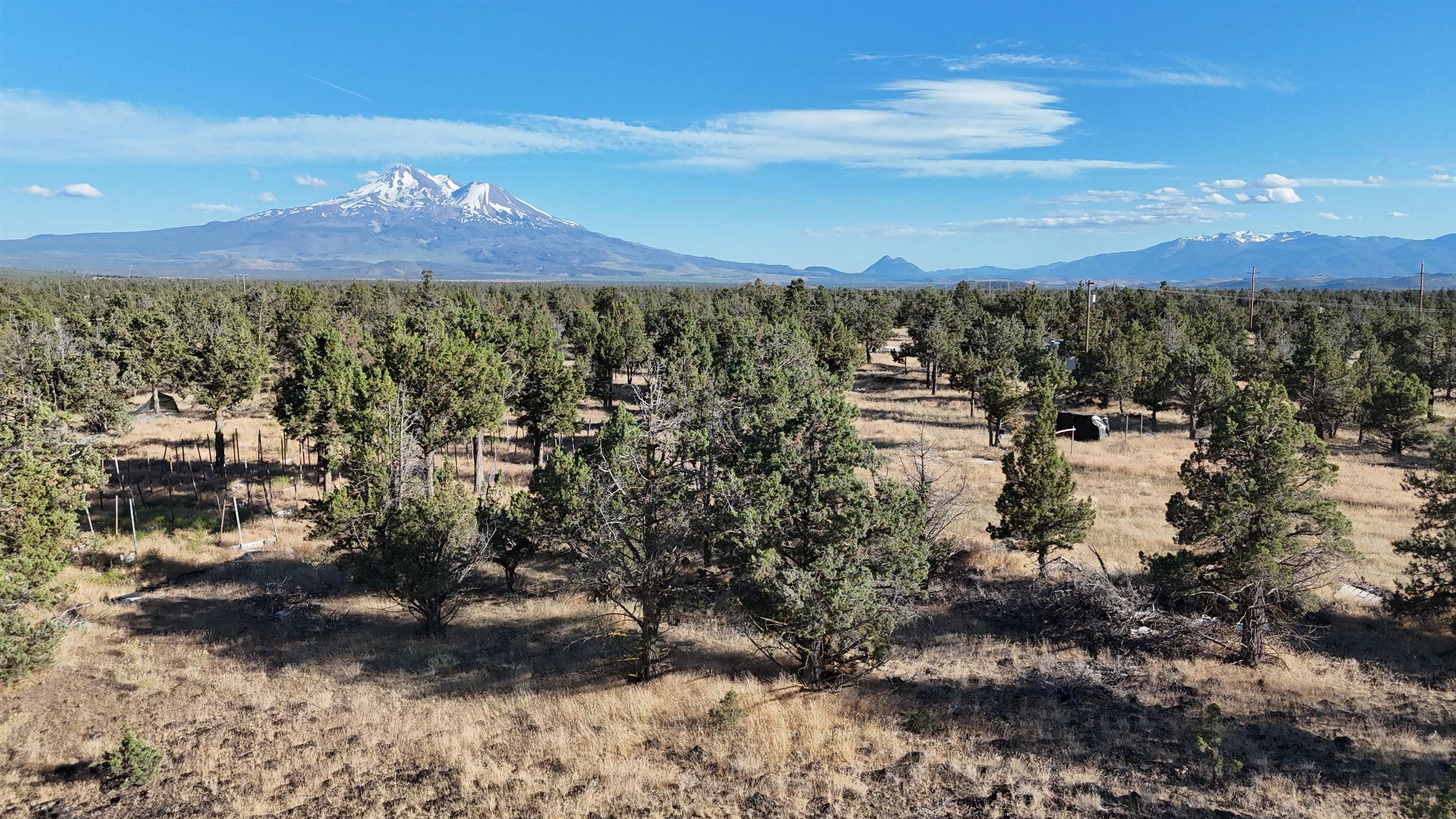 5200 Blackberry Lane