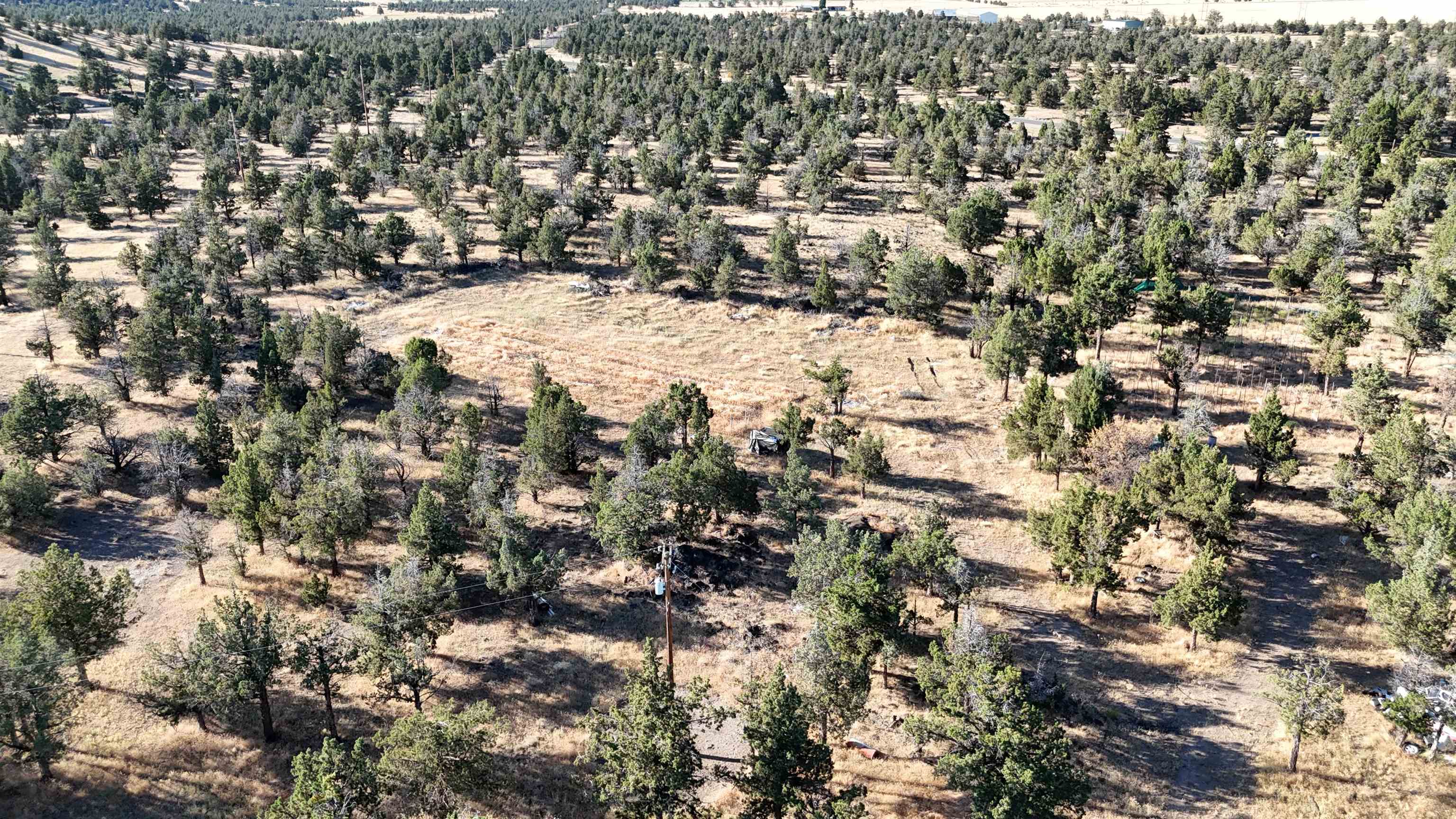 5200 Blackberry Lane