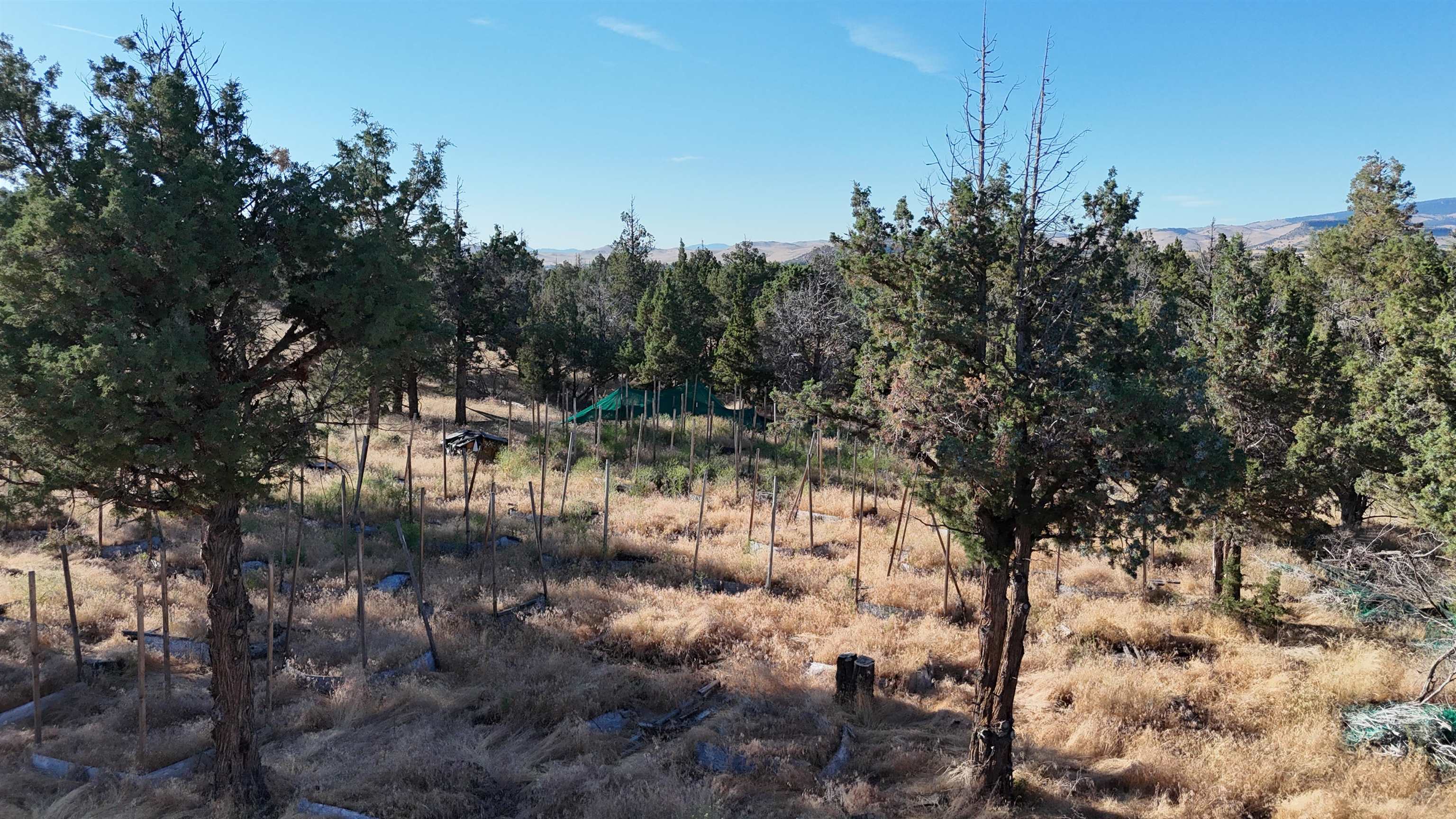 5200 Blackberry Lane