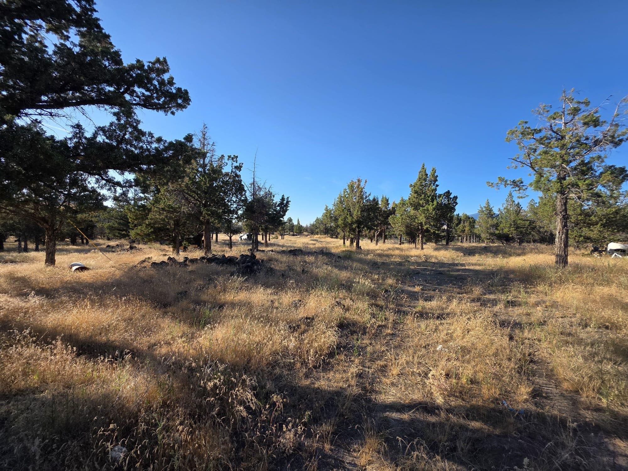 5200 Blackberry Lane