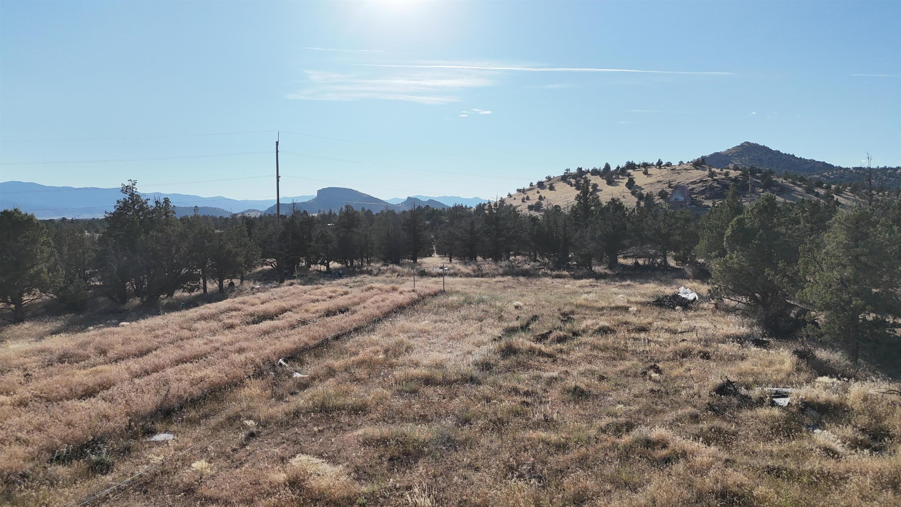 5200 Blackberry Lane