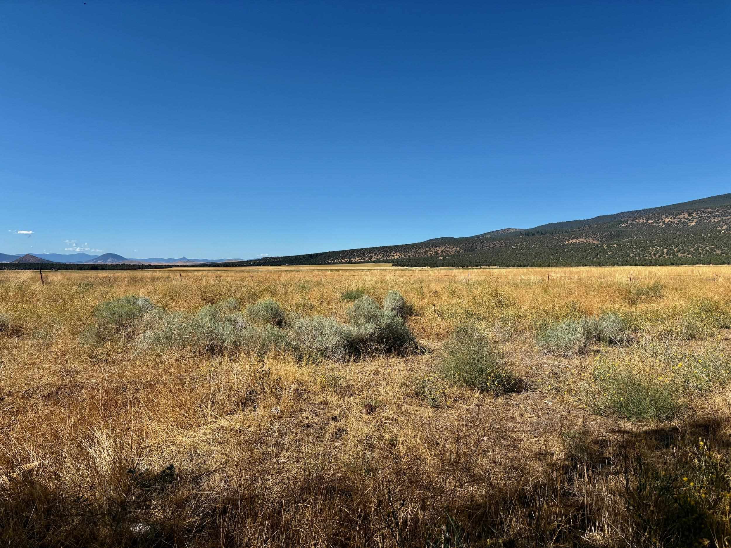 13117 County Highway A12