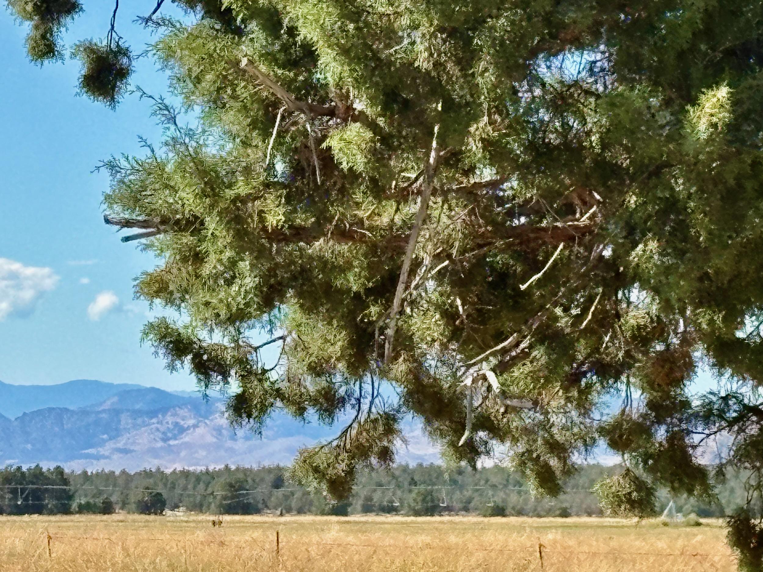 13117 County Highway A12