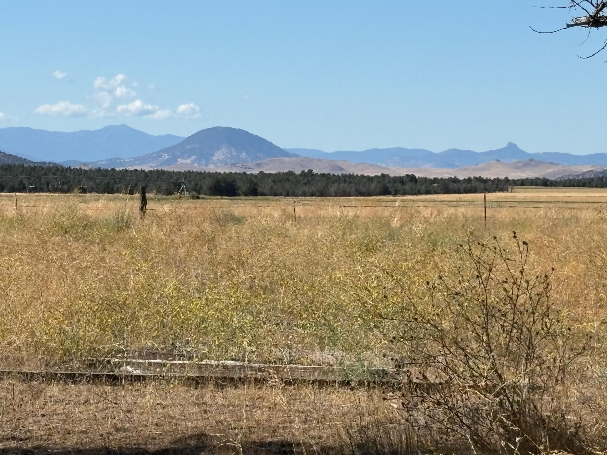 13117 County Highway A12