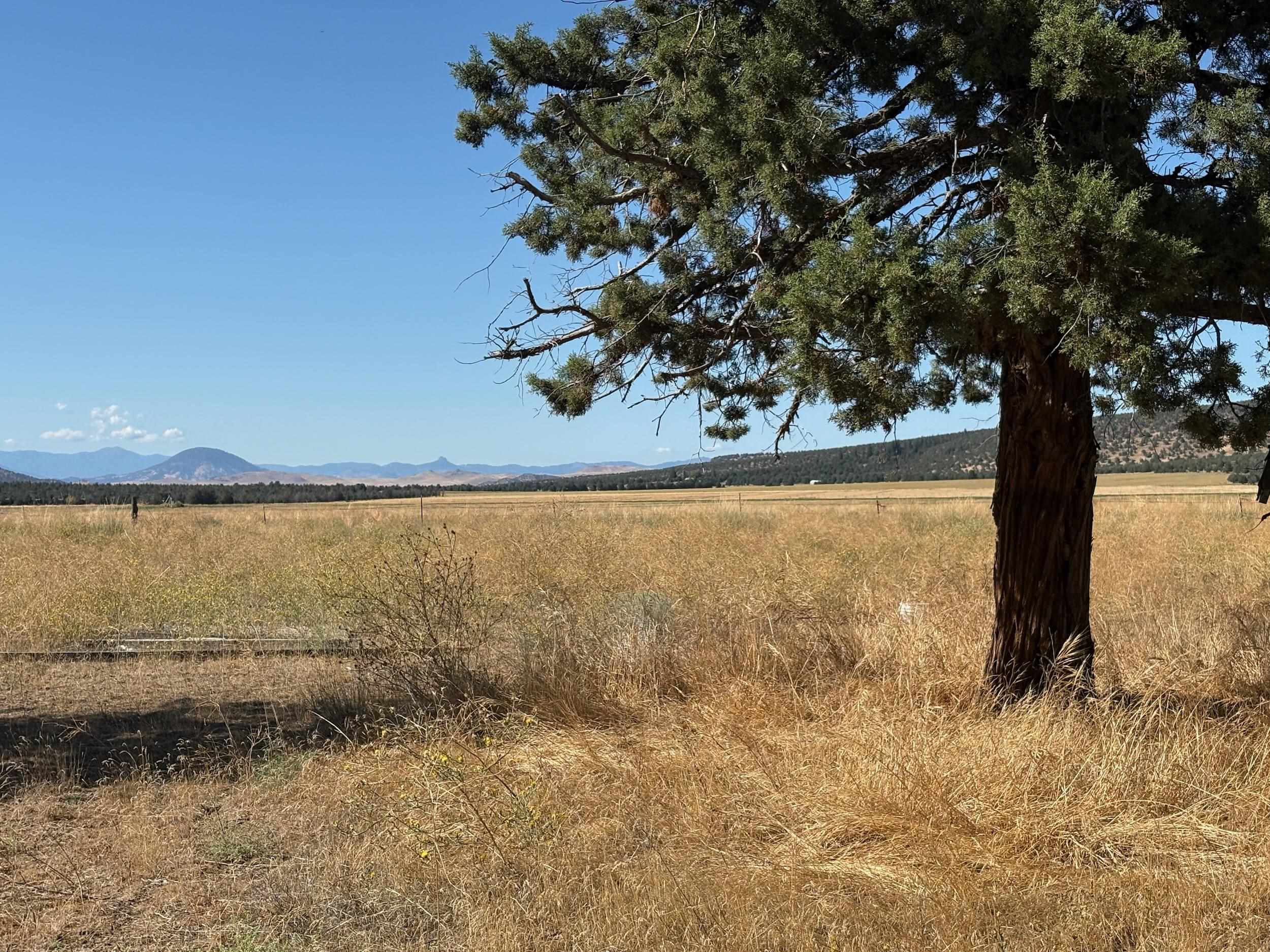 13117 County Highway A12