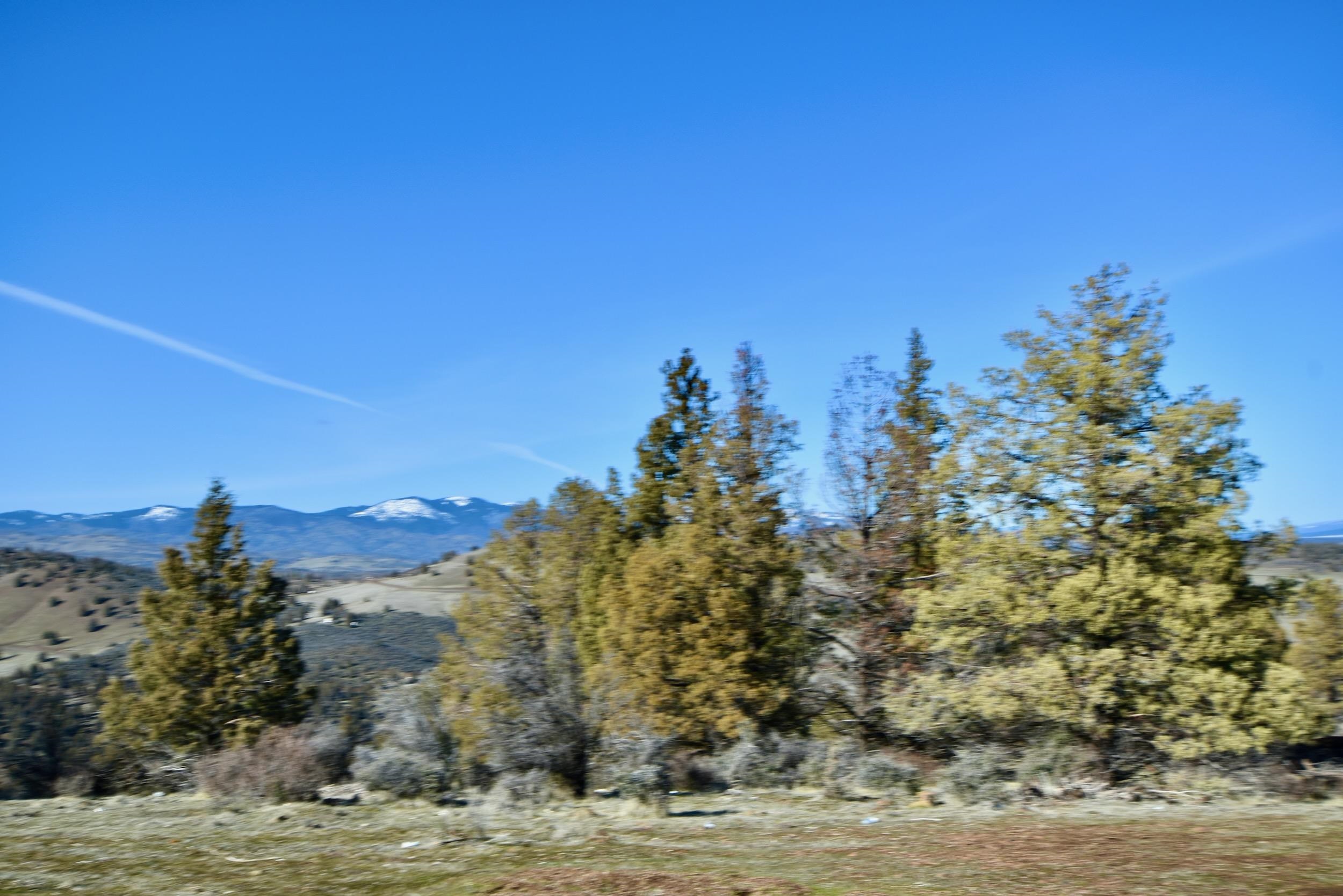 unit 5 Lot 121 Raven Ct.