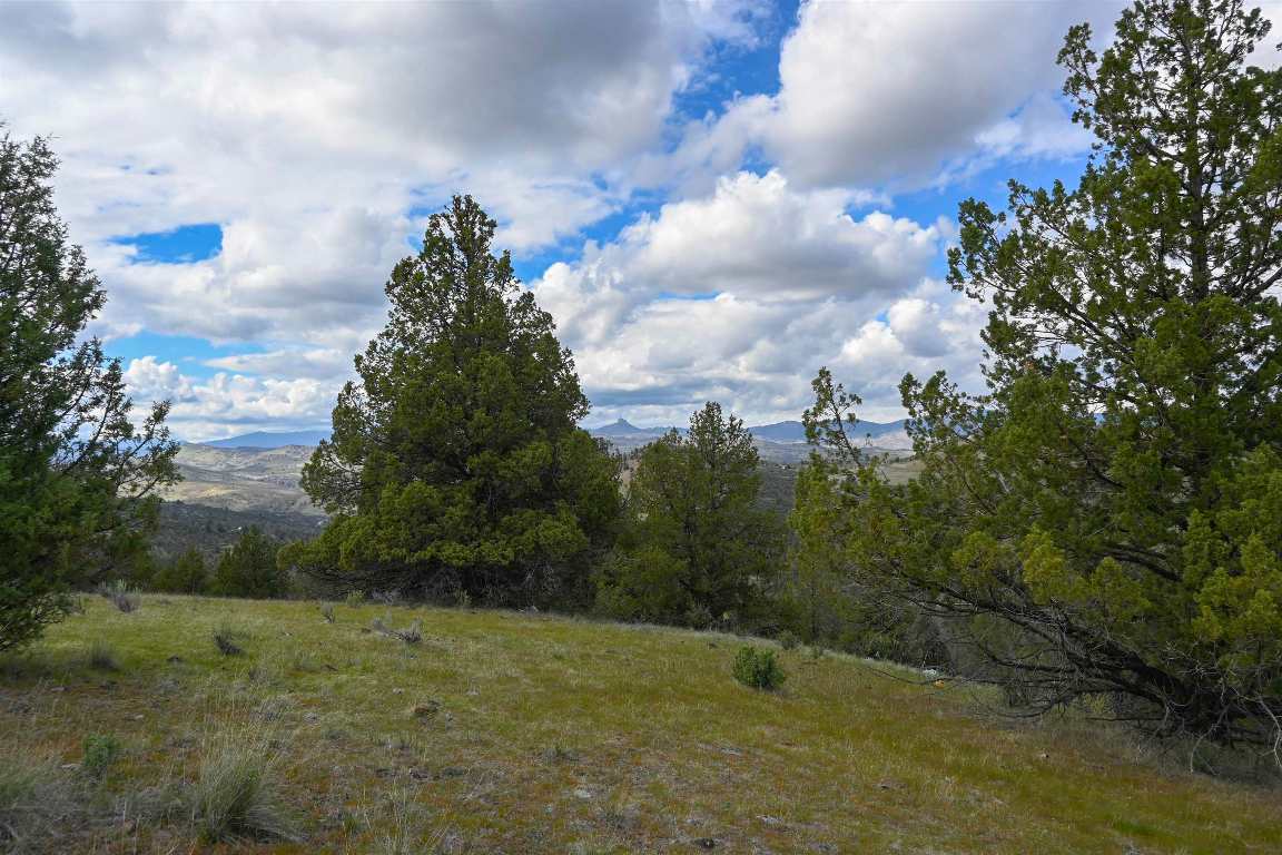 unit 5 Lot 121 Raven Ct.