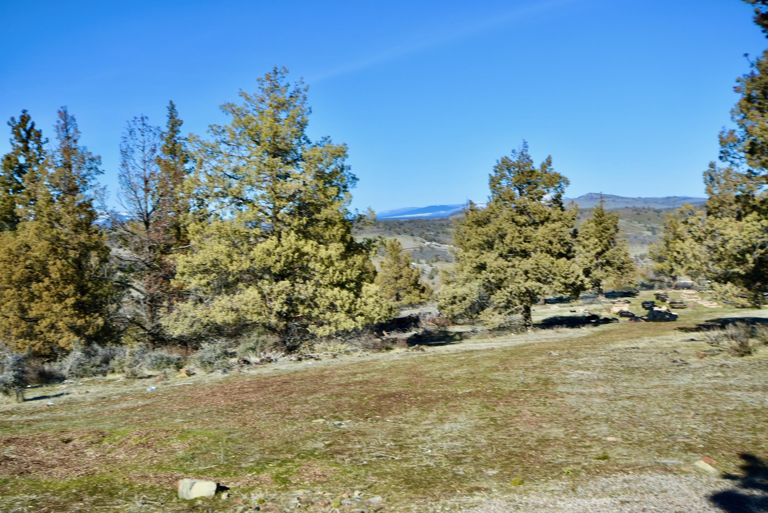 unit 5 Lot 121 Raven Ct.