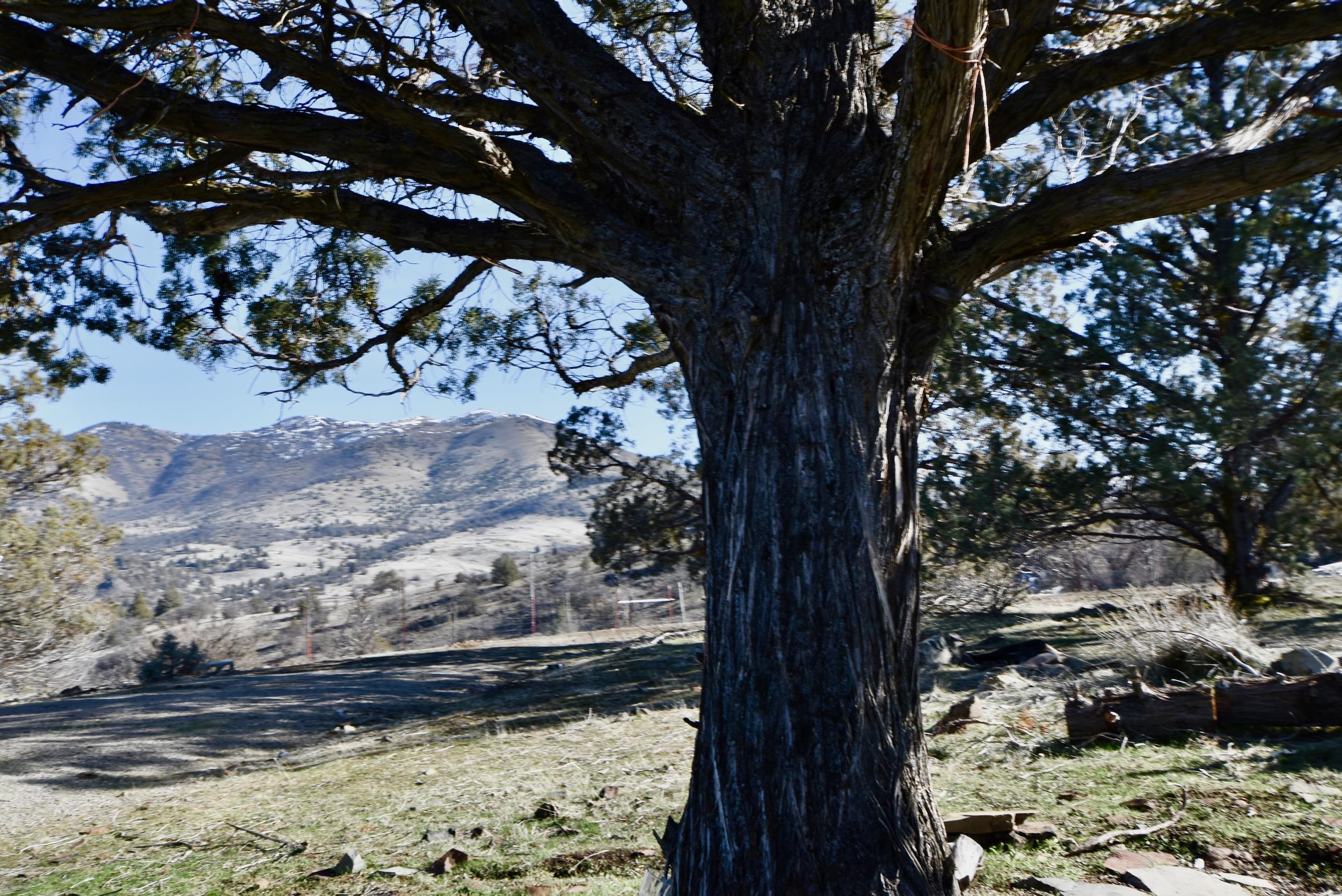 unit 5 Lot 121 Raven Ct.