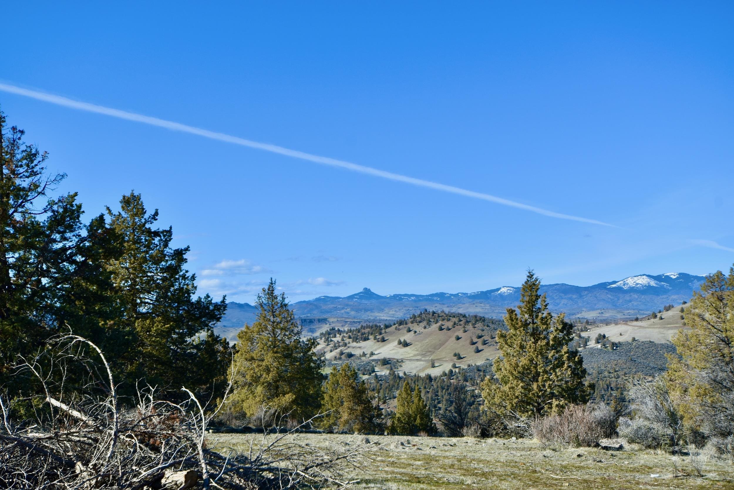 unit 5 Lot 121 Raven Ct.