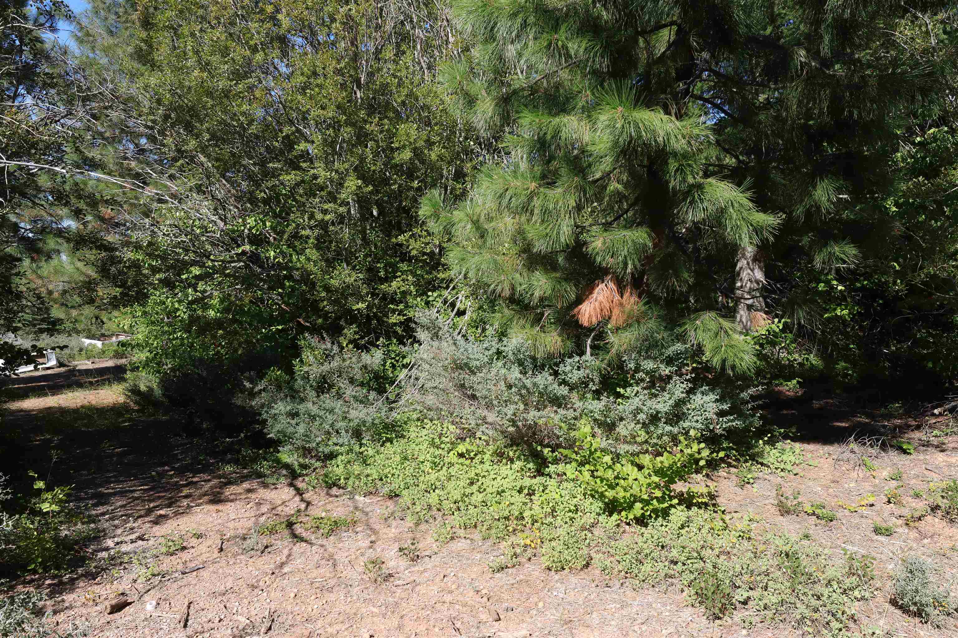 5.01 Acres Muledeer Dr.