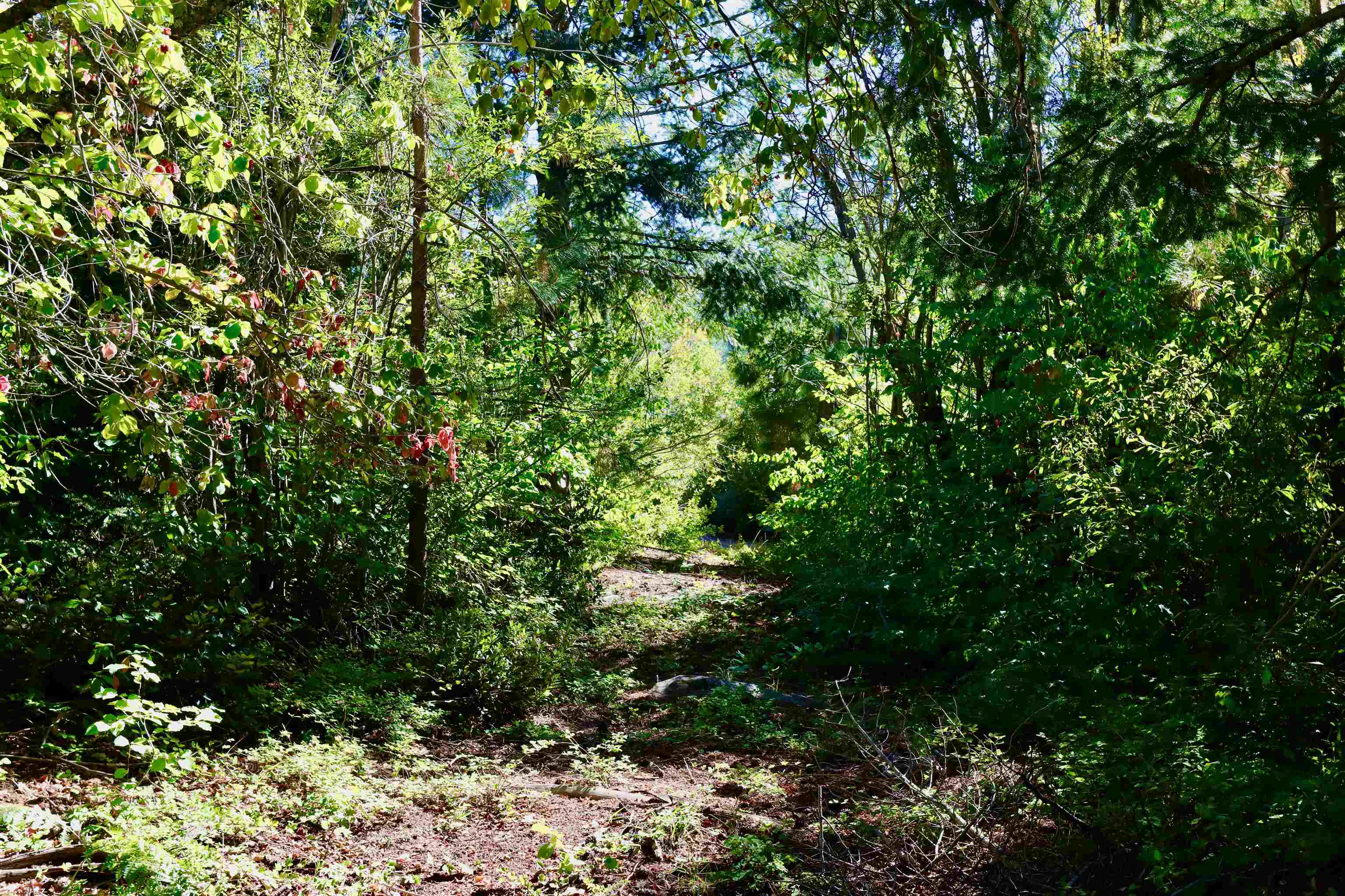 5.01 Acres Muledeer Dr.