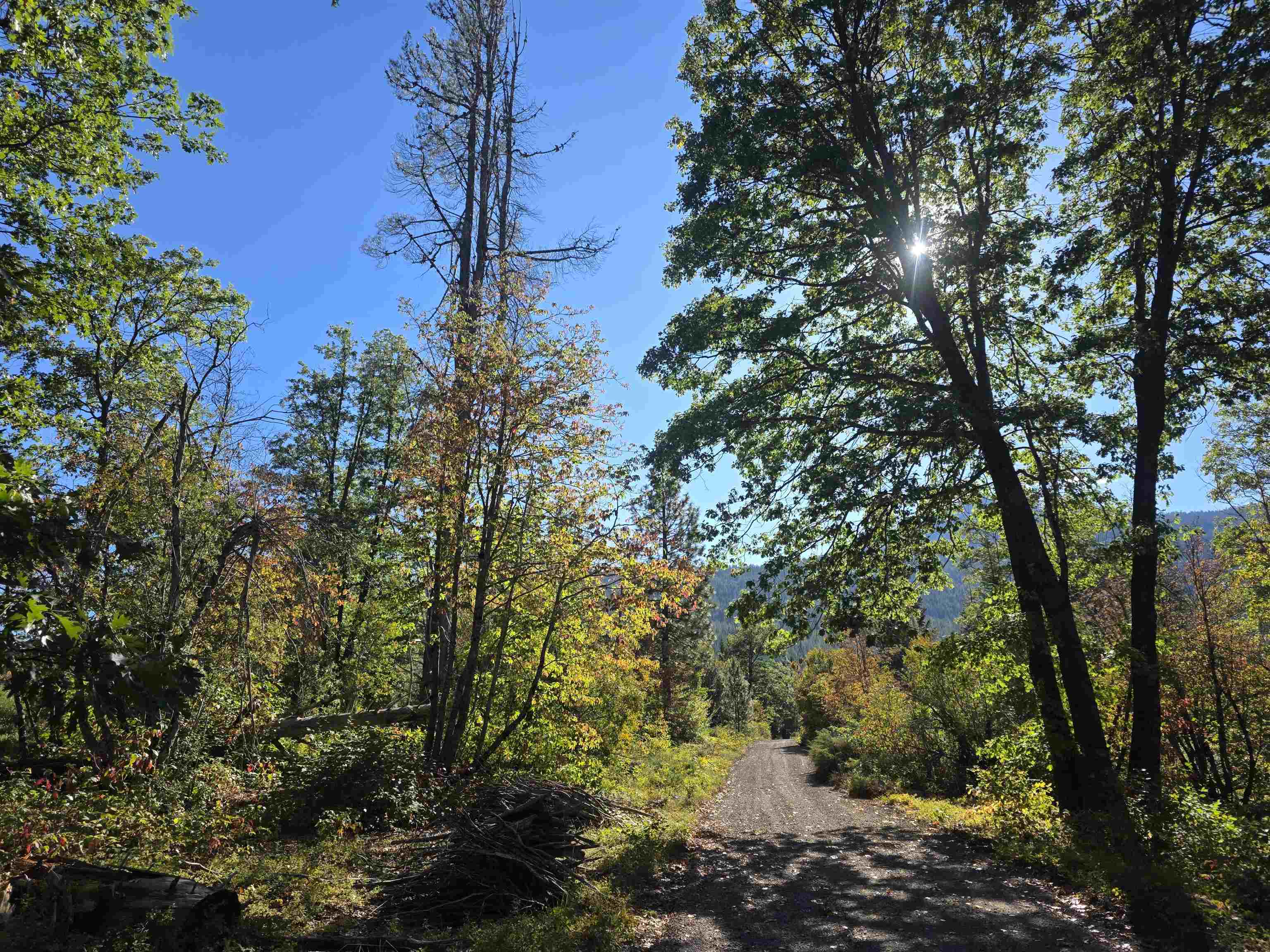 5.01 Acres Muledeer Dr.