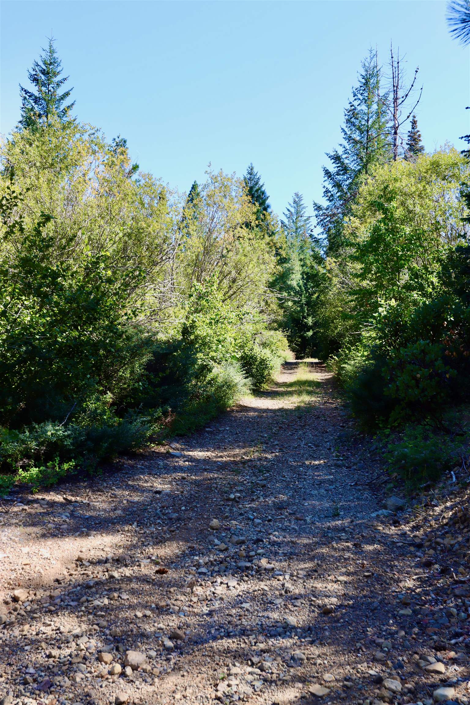 5.01 Acres Muledeer Dr.