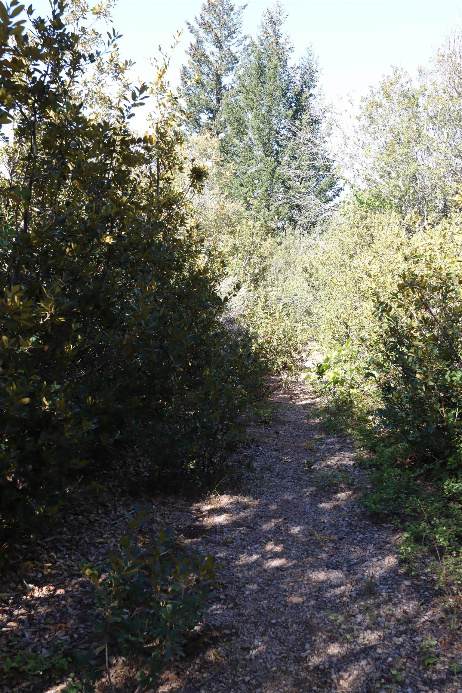 5.01 Acres Muledeer Dr.