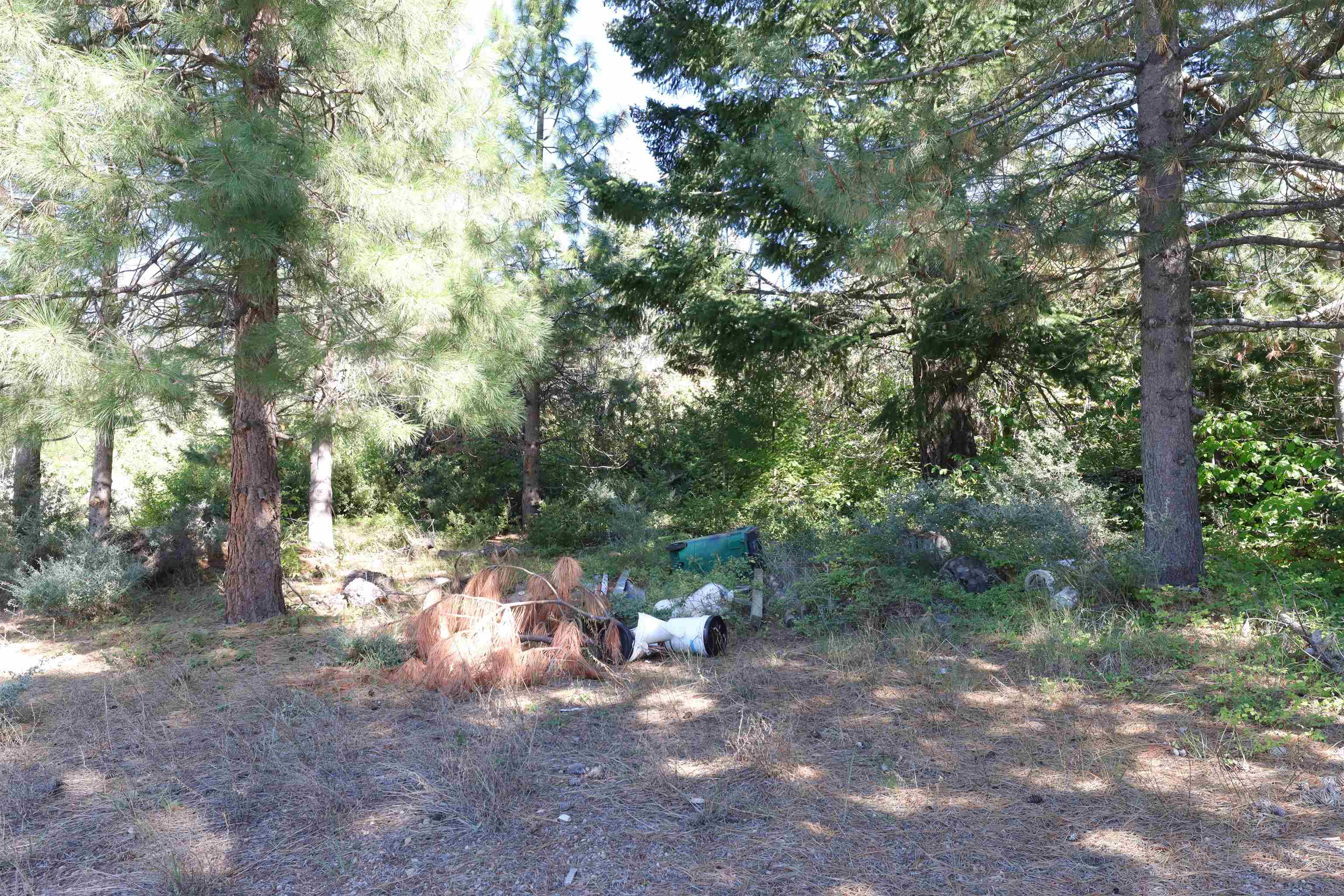 5.01 Acres Muledeer Dr.